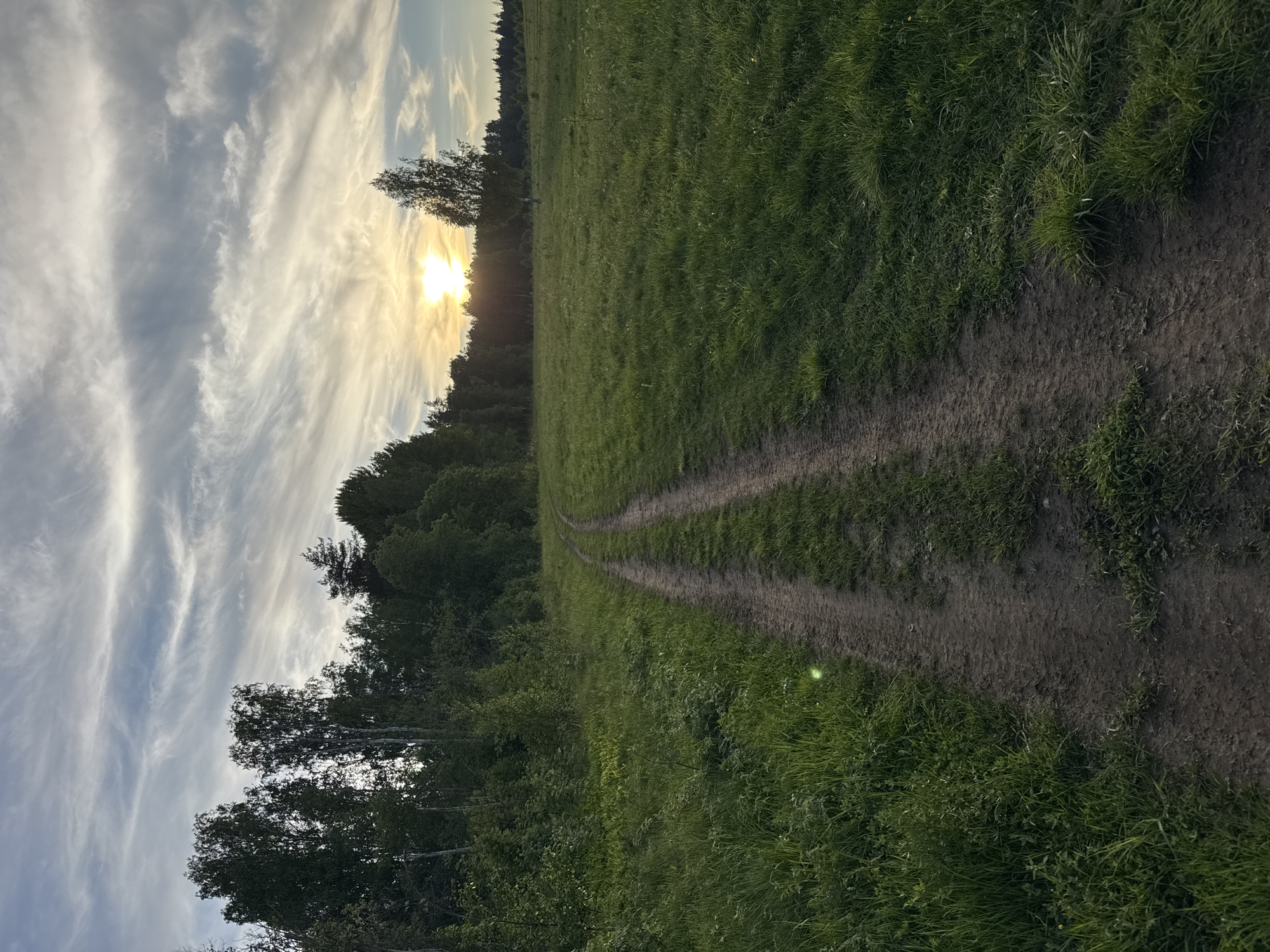 Woman photographs herself in golden hour countryside near Mars, Russia