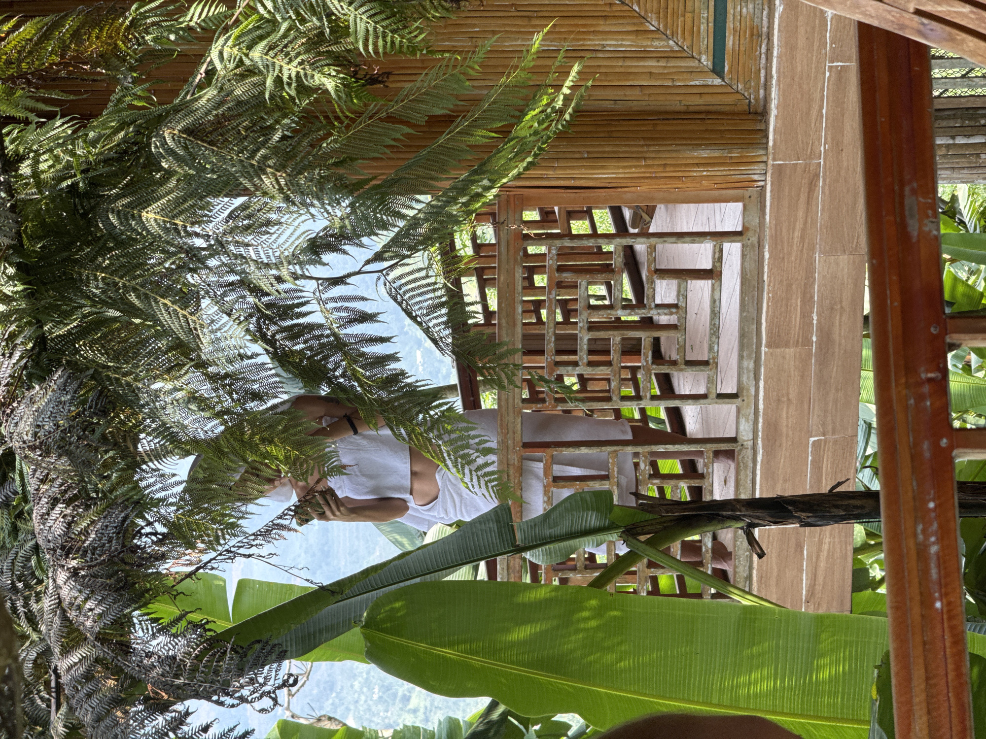 Morning leisure moments captured in tropical Vietnamese commune setting