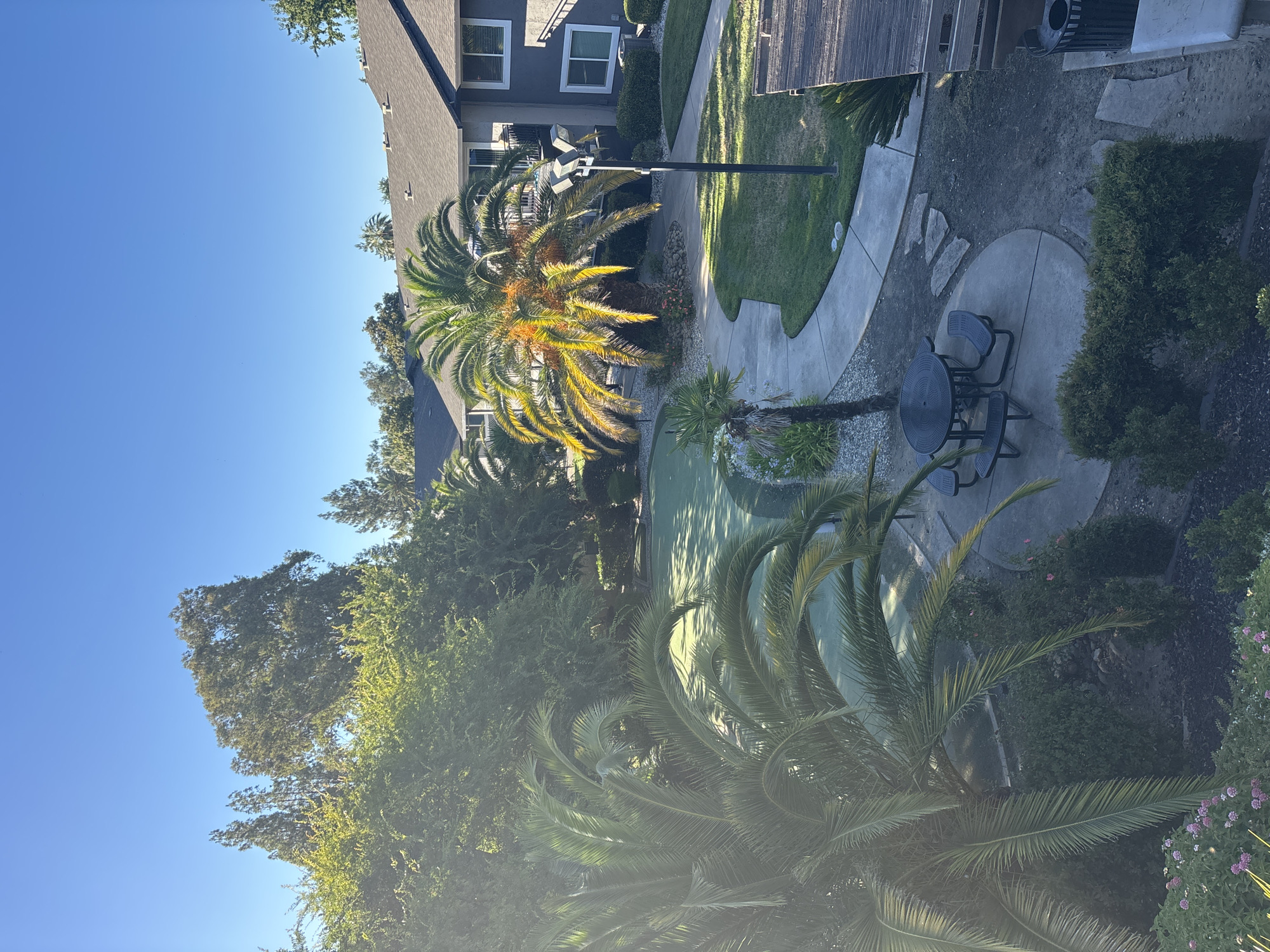 Fair Oaks apartment complex, courtyard to parking lot to garden details