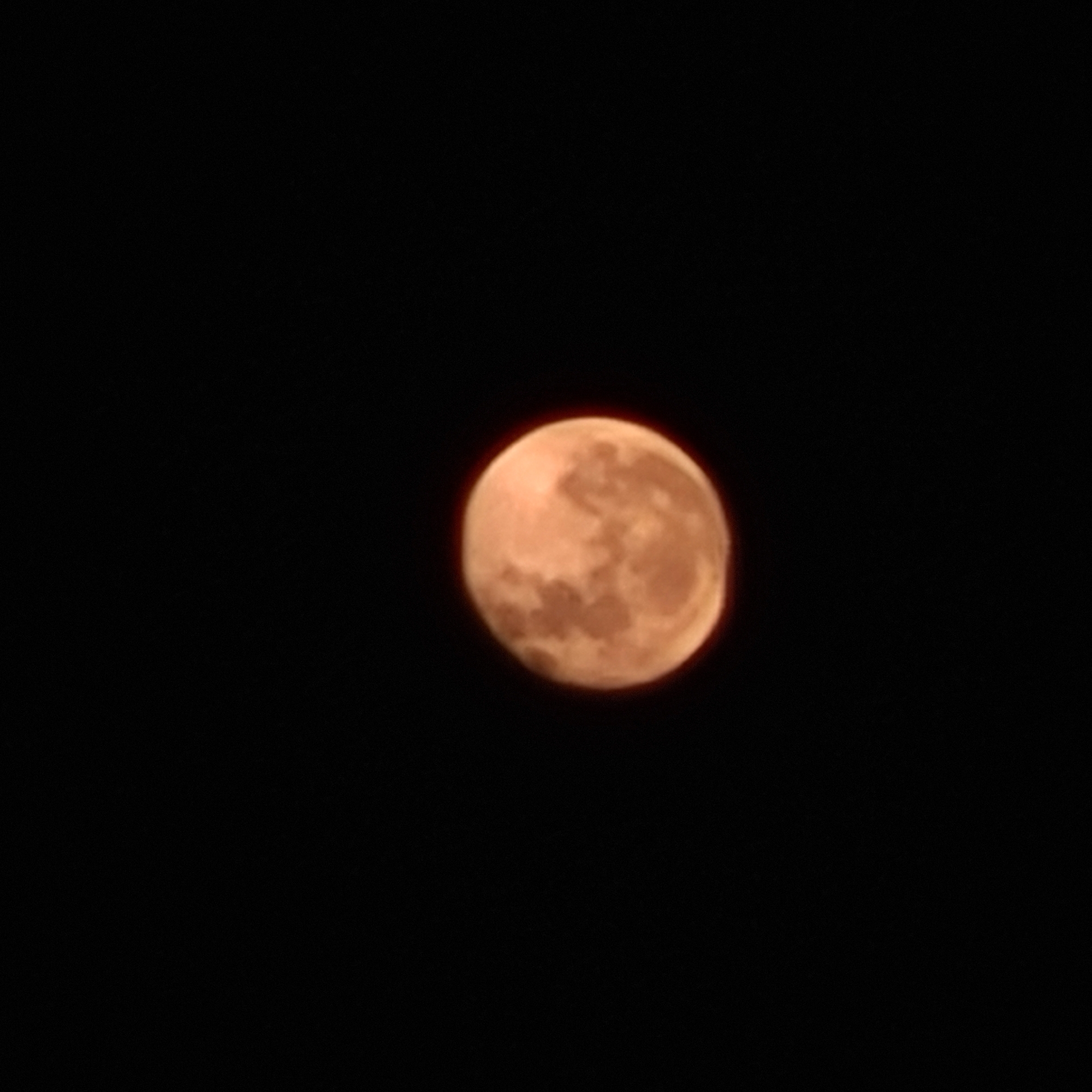 Evening moments captured in Catamarca: dog, selfie, full moon