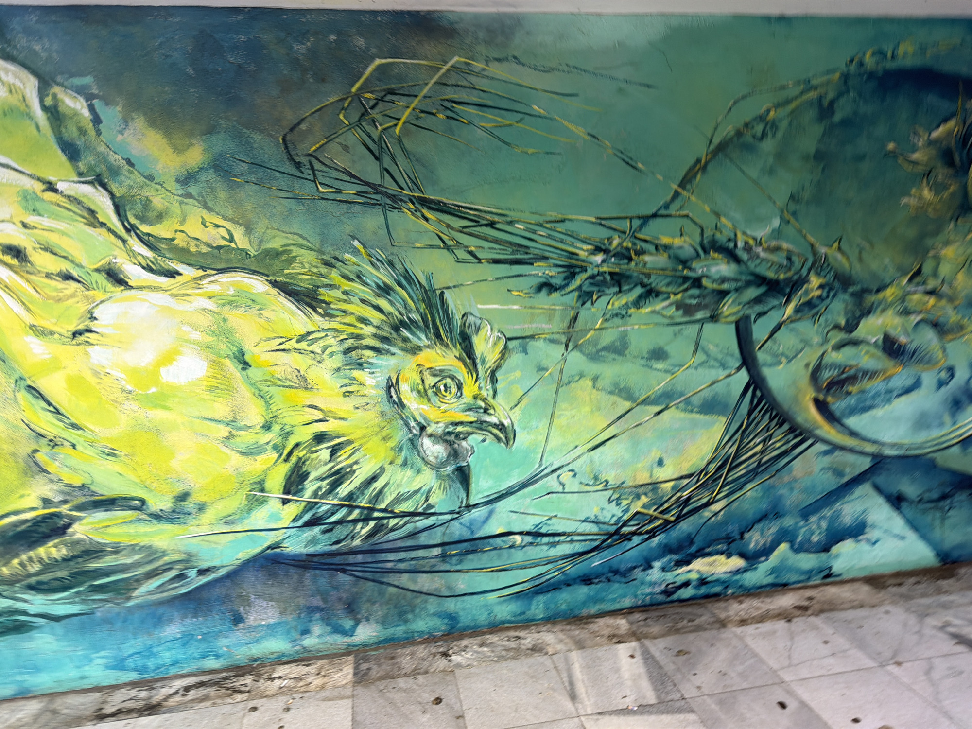 Morning scenes documented across Sofia streets and cafes