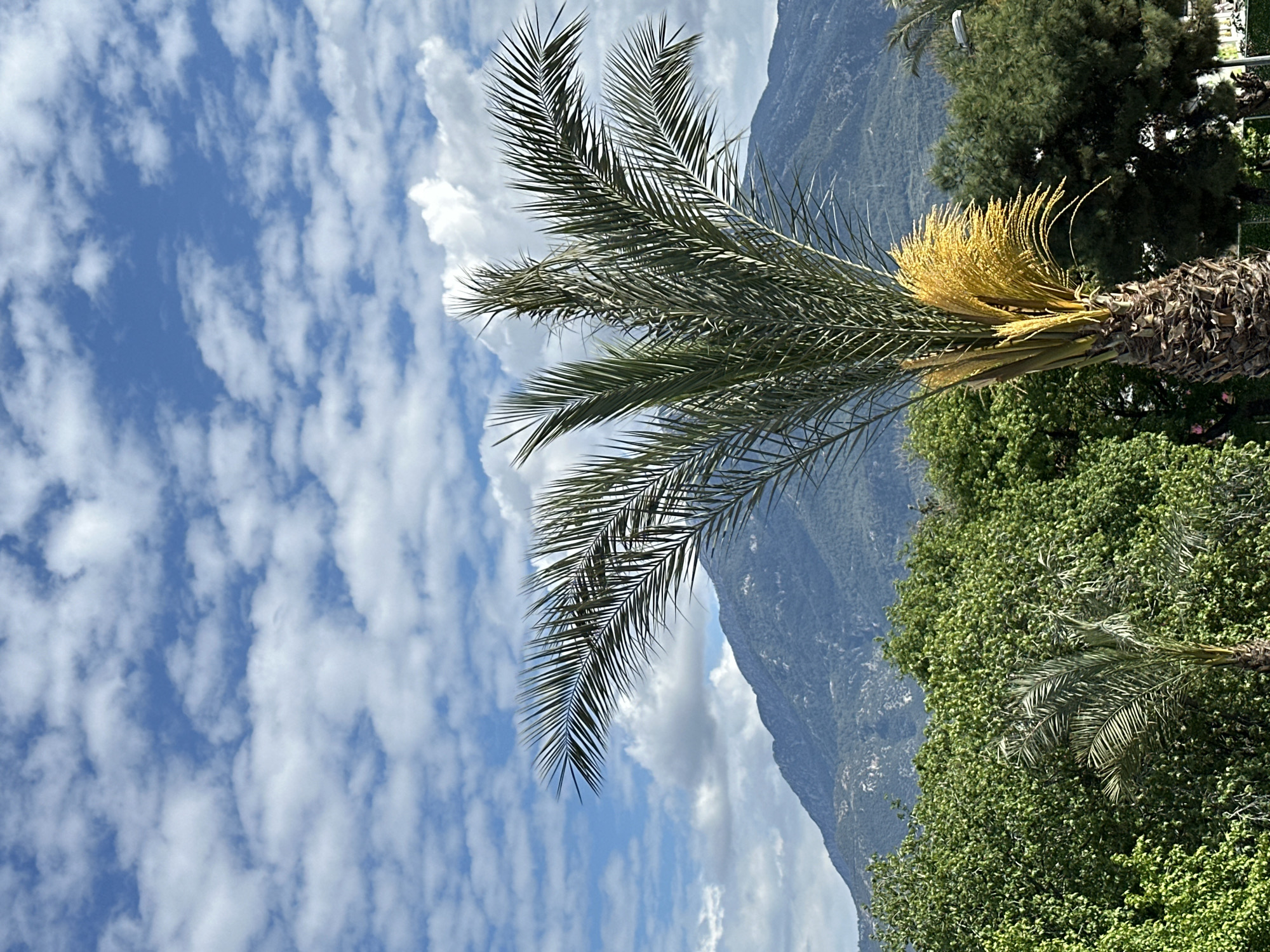 Ordinary afternoon moments captured across Fethiye, Turkey