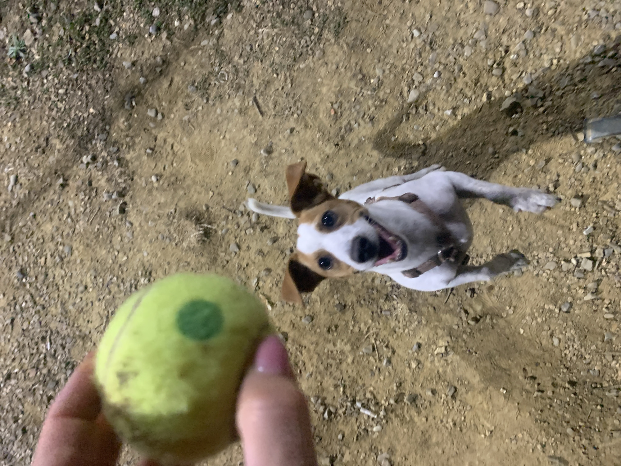 Night tennis on a clay court in San Quirico d'Orcia