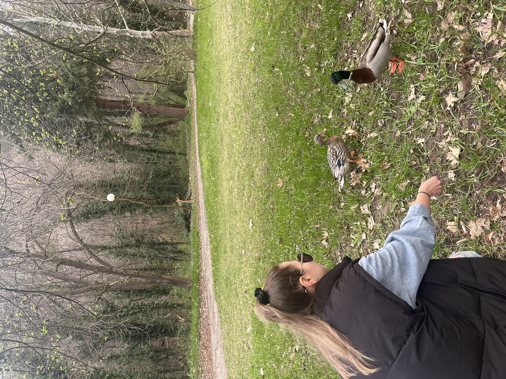 Woman feeds ducks, relaxes in Bulgarian park