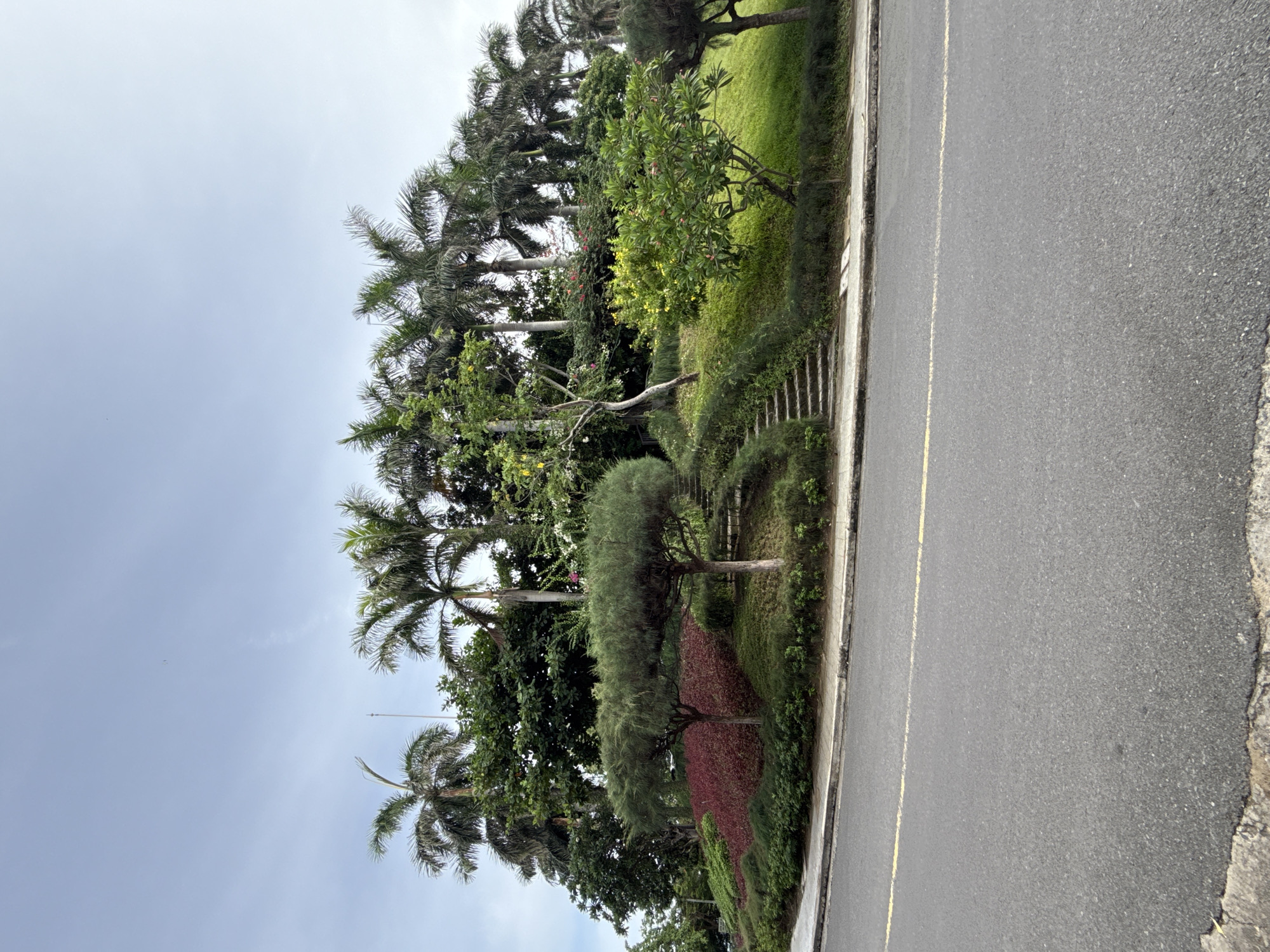 Tourist explores Nha Trang coastal attractions under overcast morning skies