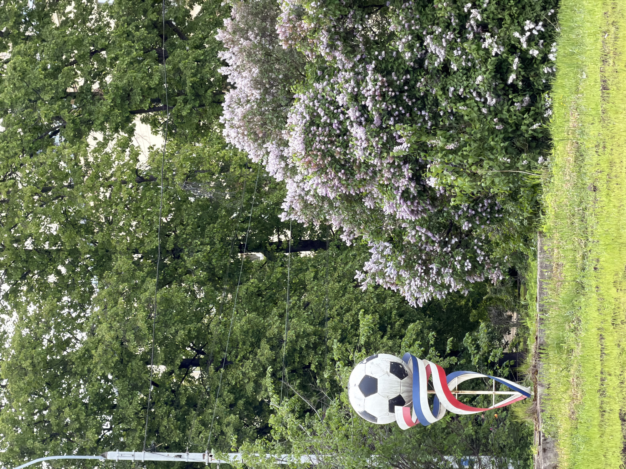 Ordinary moments captured across Russian town during spring afternoon
