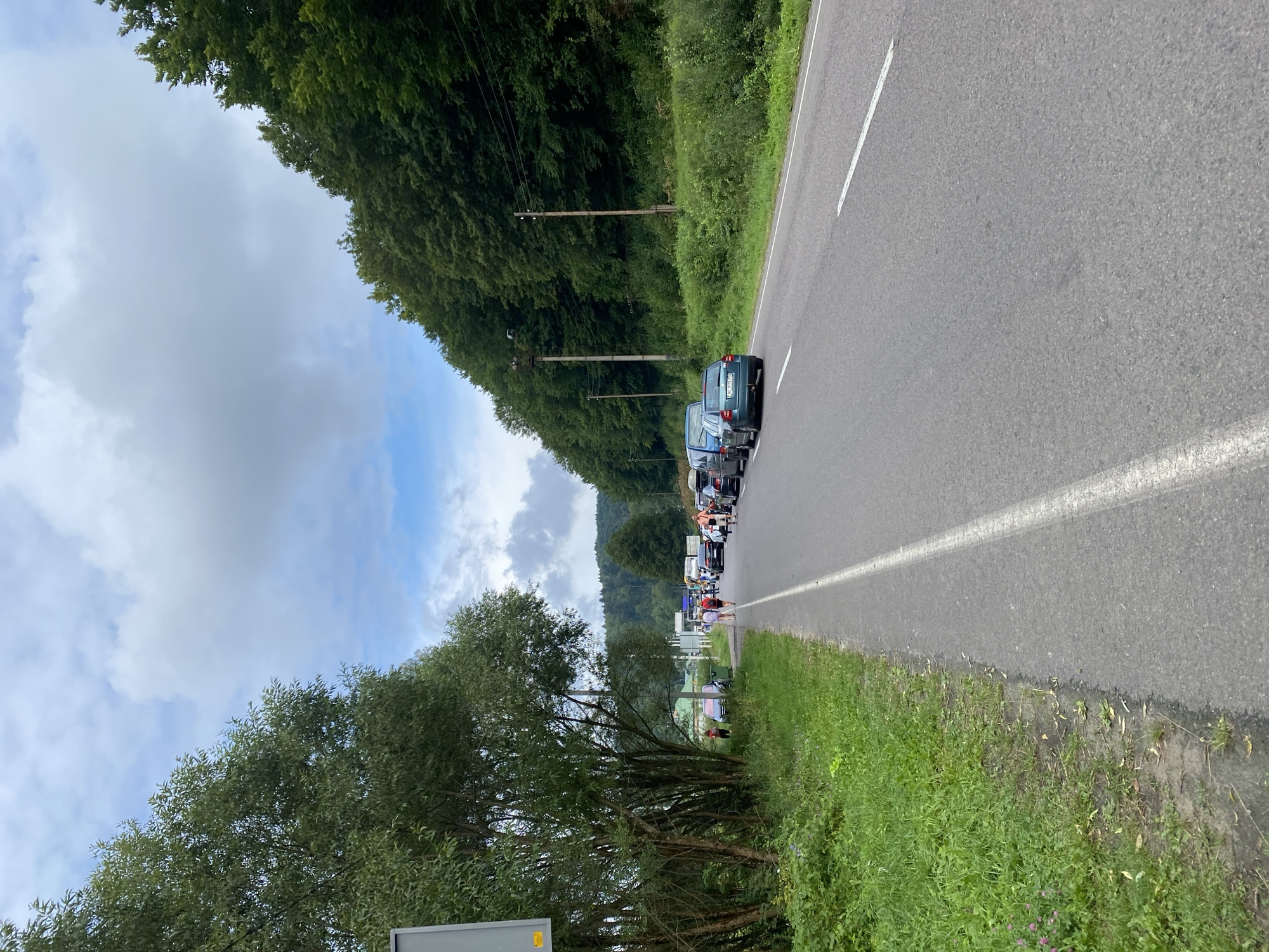 Summer roadside pause in Stebnik, wildflowers and traffic