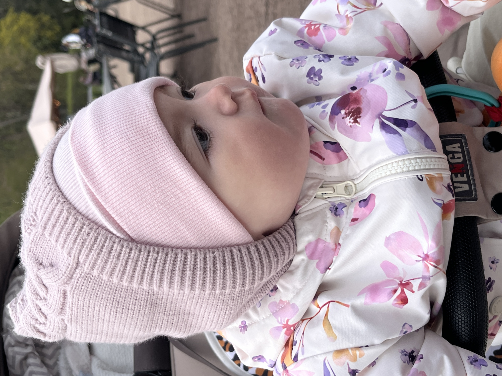 Baby outing documented in Pavlovsk's historic district