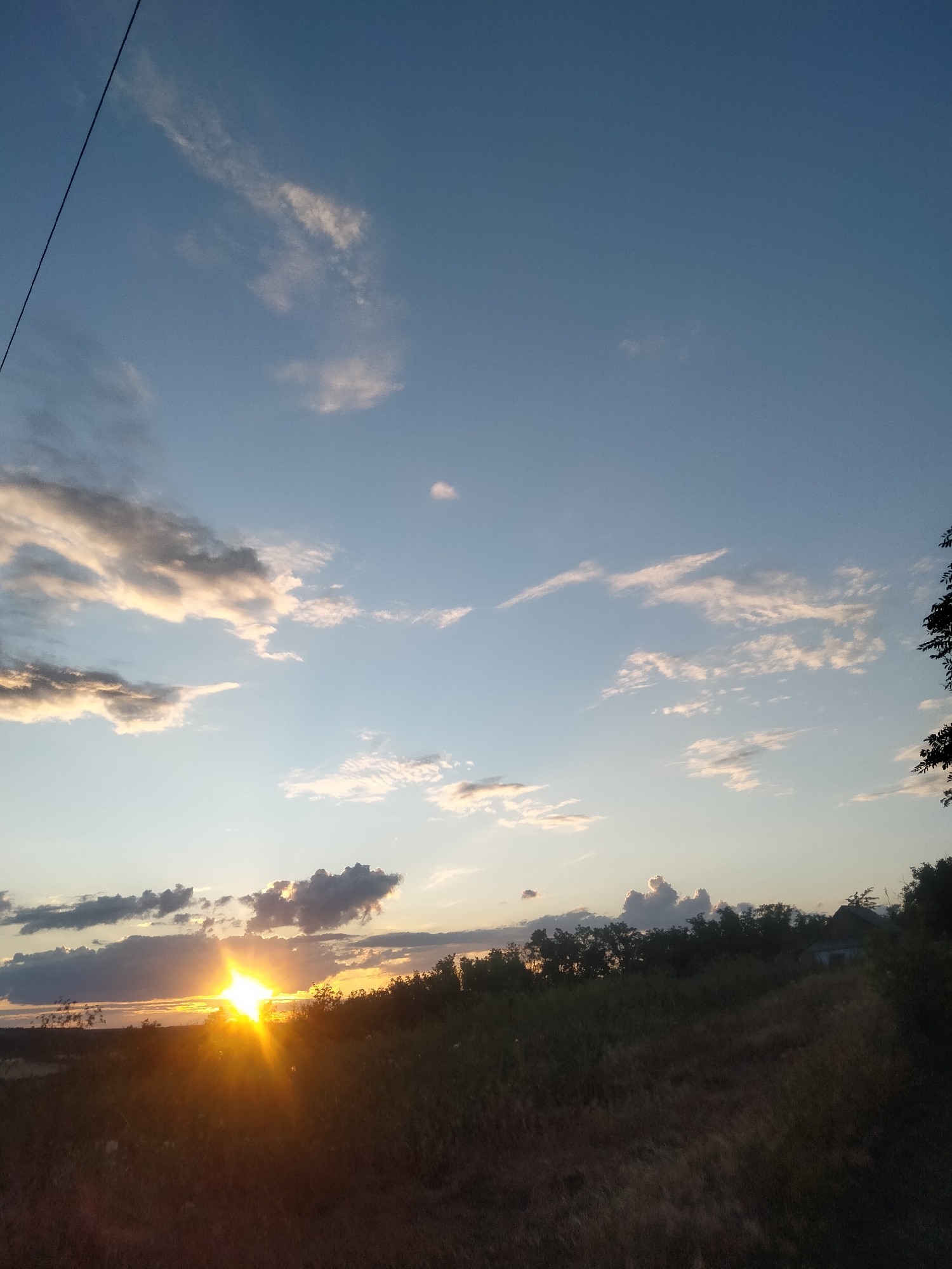 Sunset stroll through rural Ananiv: grass, cats, wildflowers, fading light