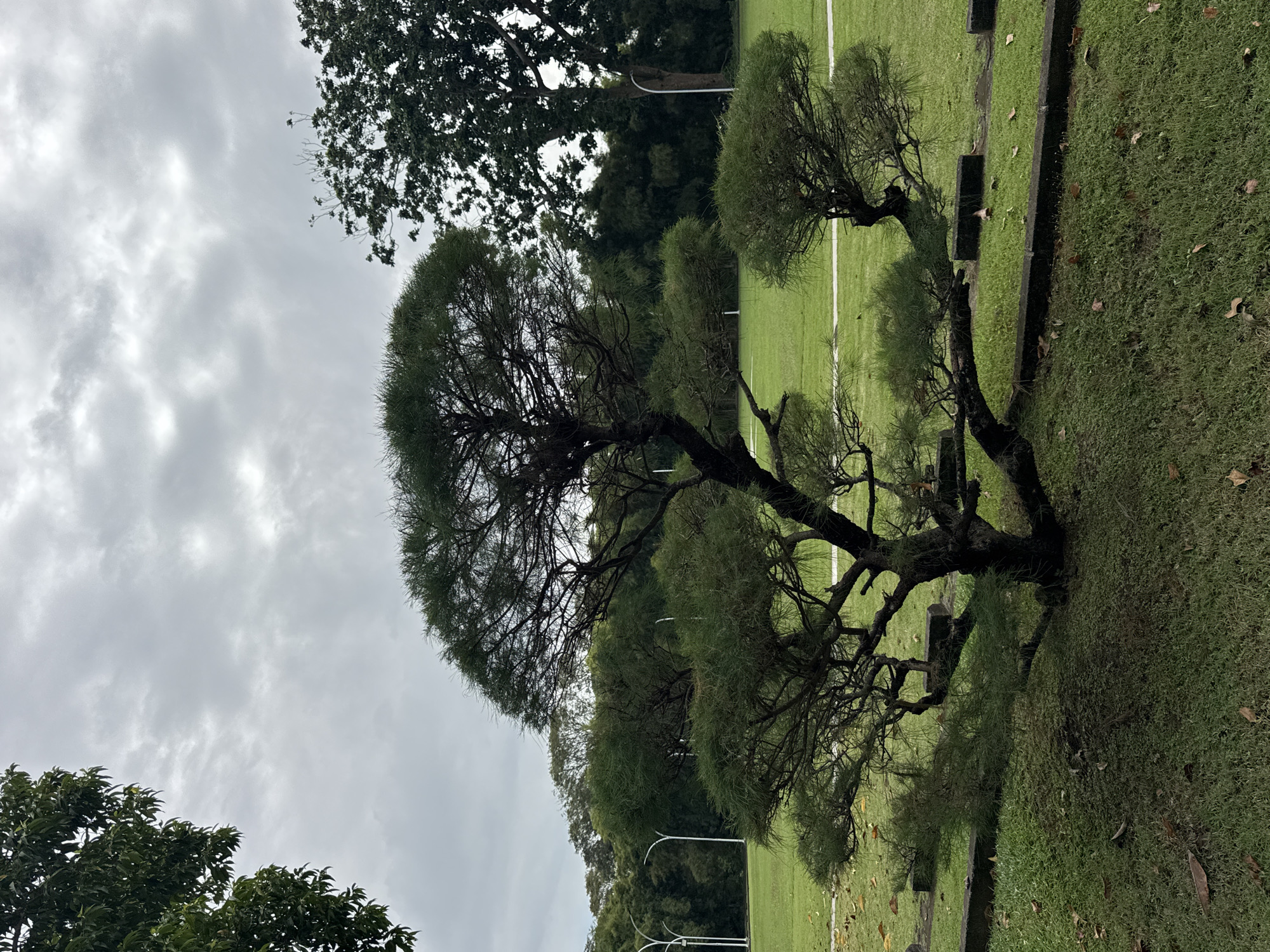 Workers assemble event tent in Indonesian tropical park setting