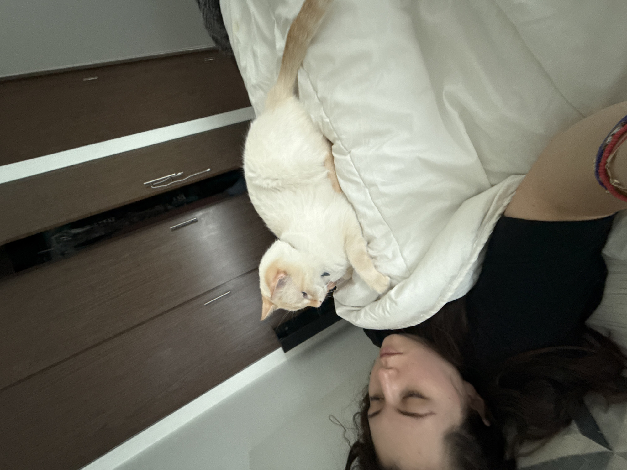 Woman and blue-eyed cat share quiet moment on bed