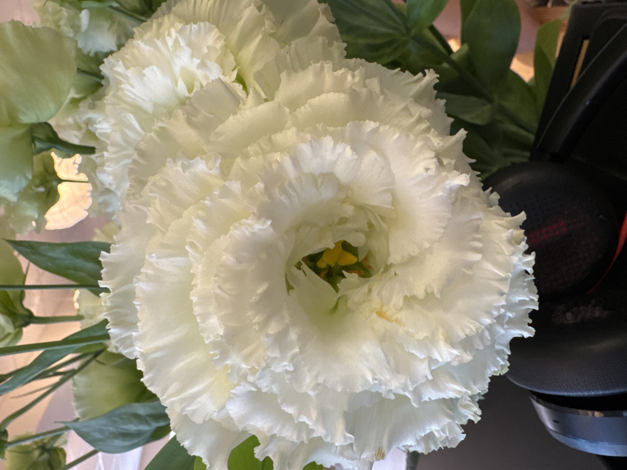 Summer flowers and fresh produce in Kremenchuk, Ukraine