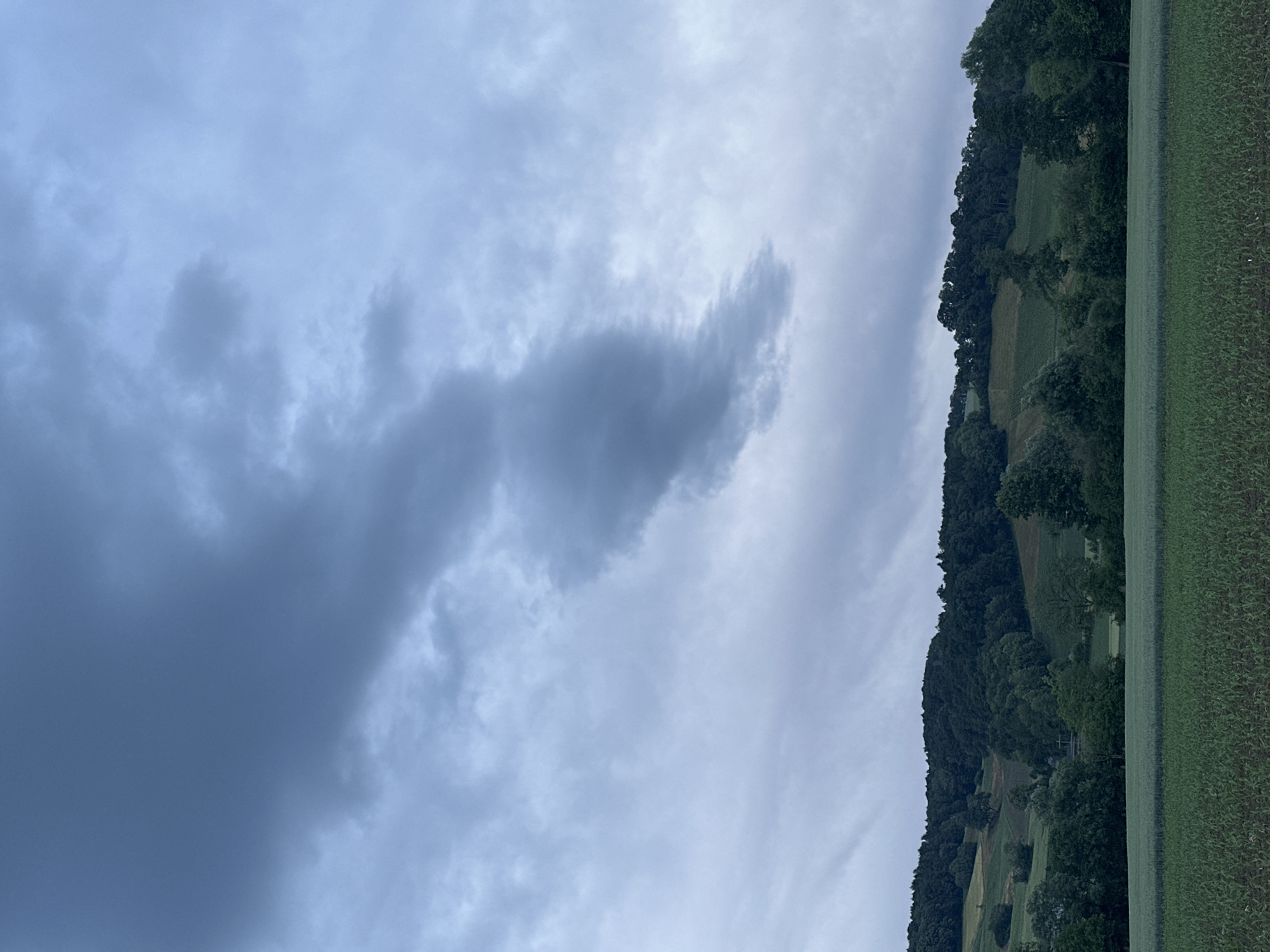 Evening landscape scenes documented in Lufingen countryside