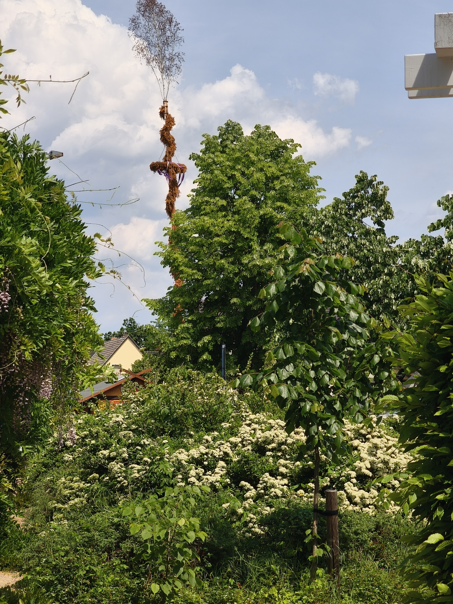 Spreewald region landmarks and abandoned railway infrastructure documented