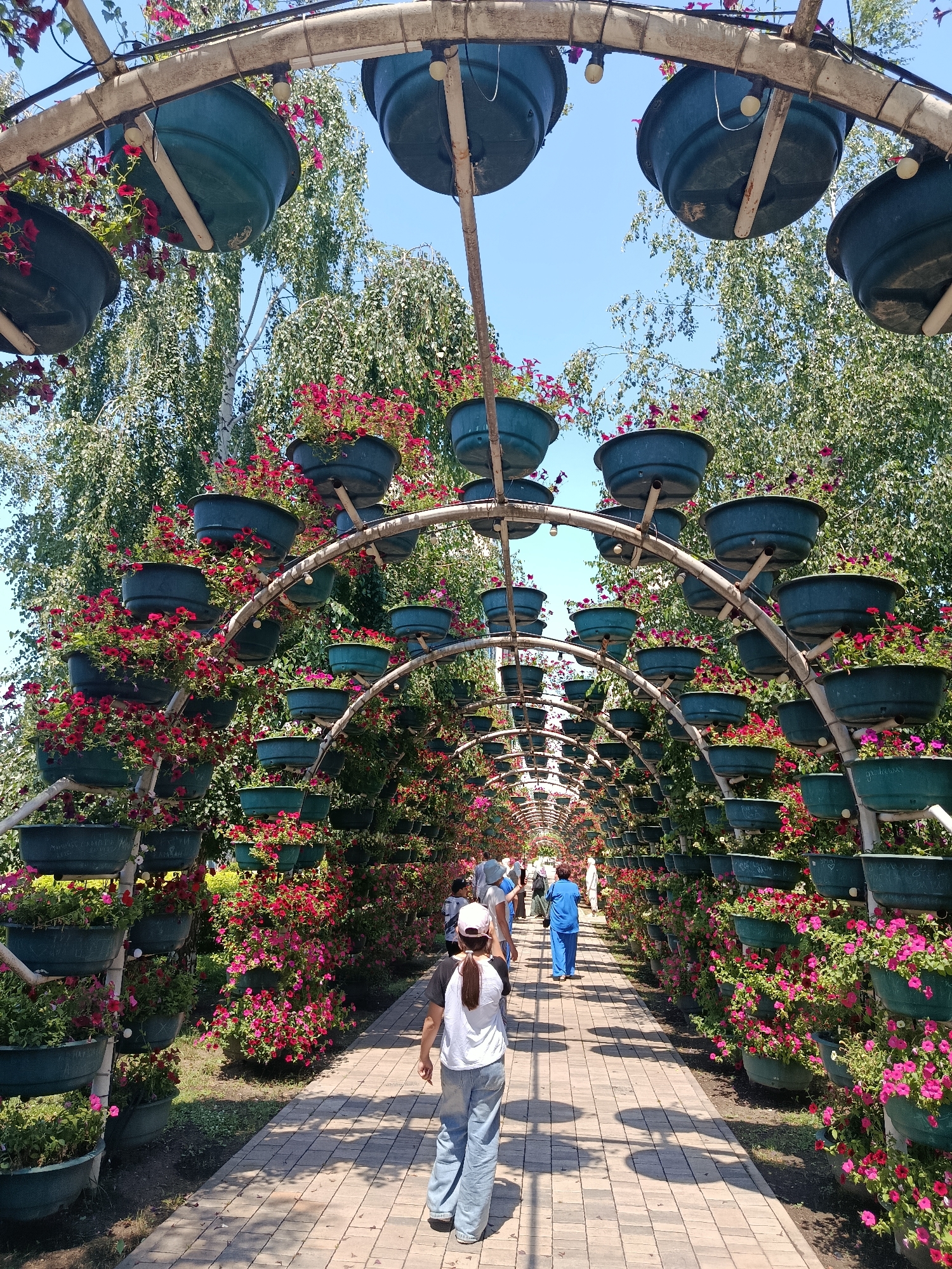 Inside Grozny's ornamental park on a bright summer morning