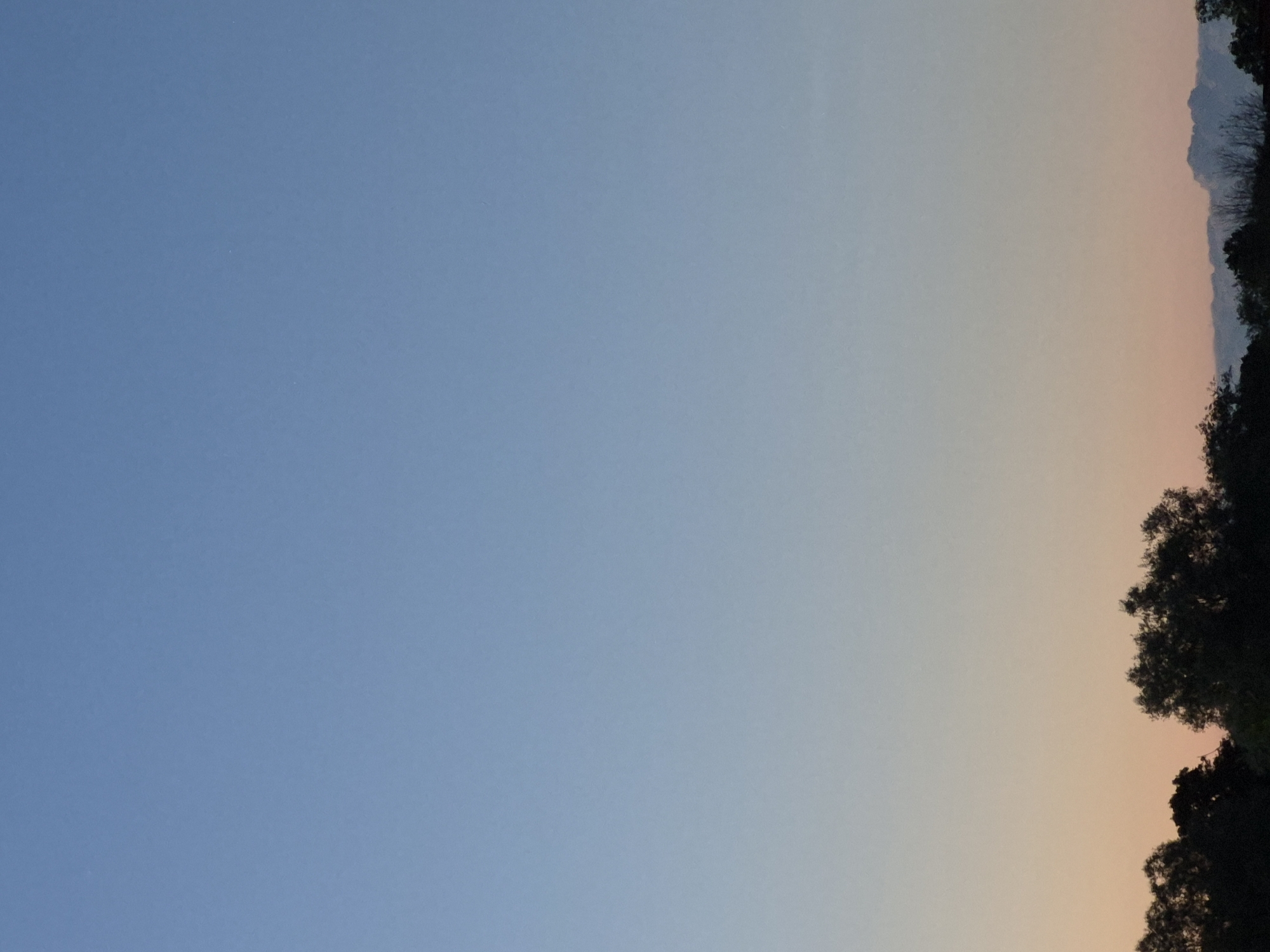 Twilight sky over Sooblase treeline, midsummer evening