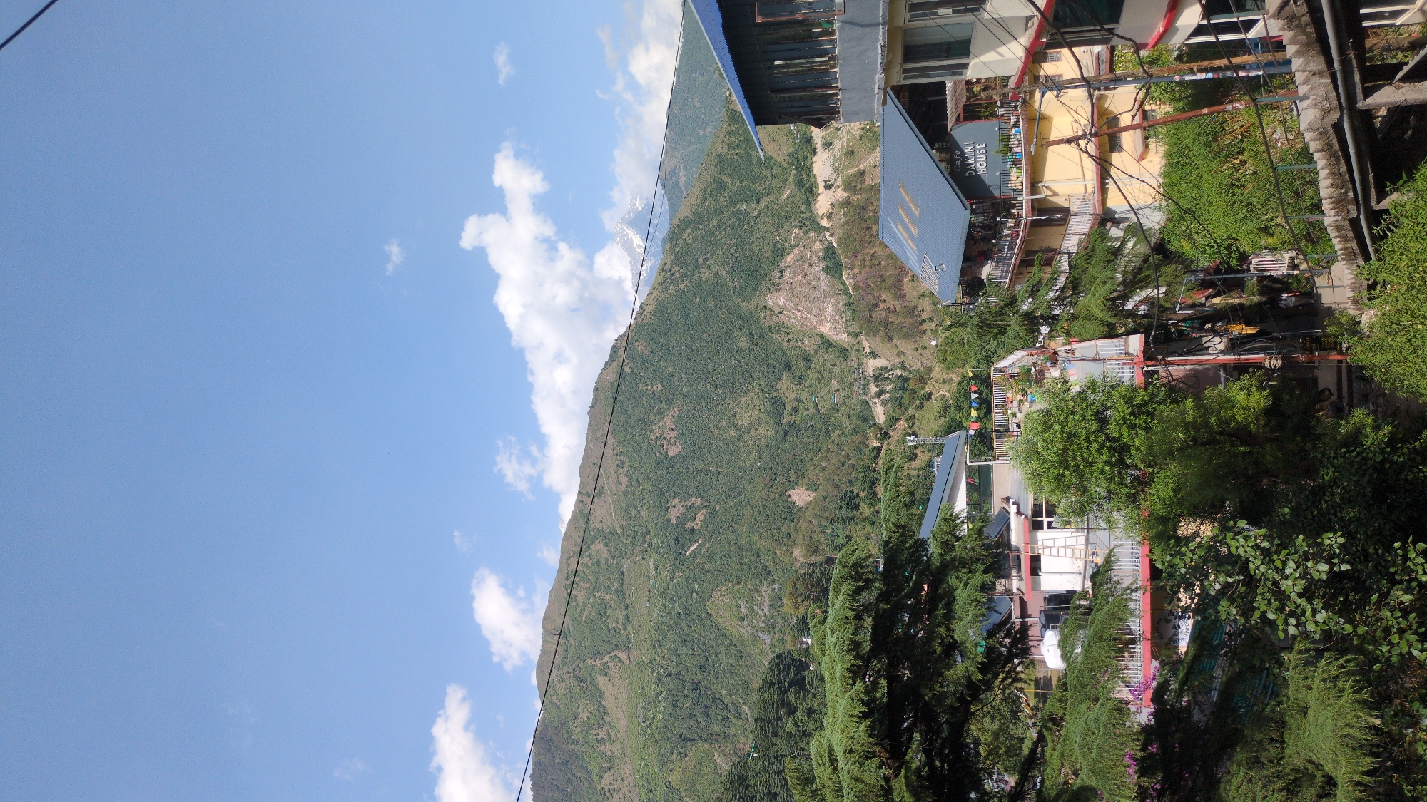 Morning scenes captured across Dharamshala: landscapes, architecture, daily life