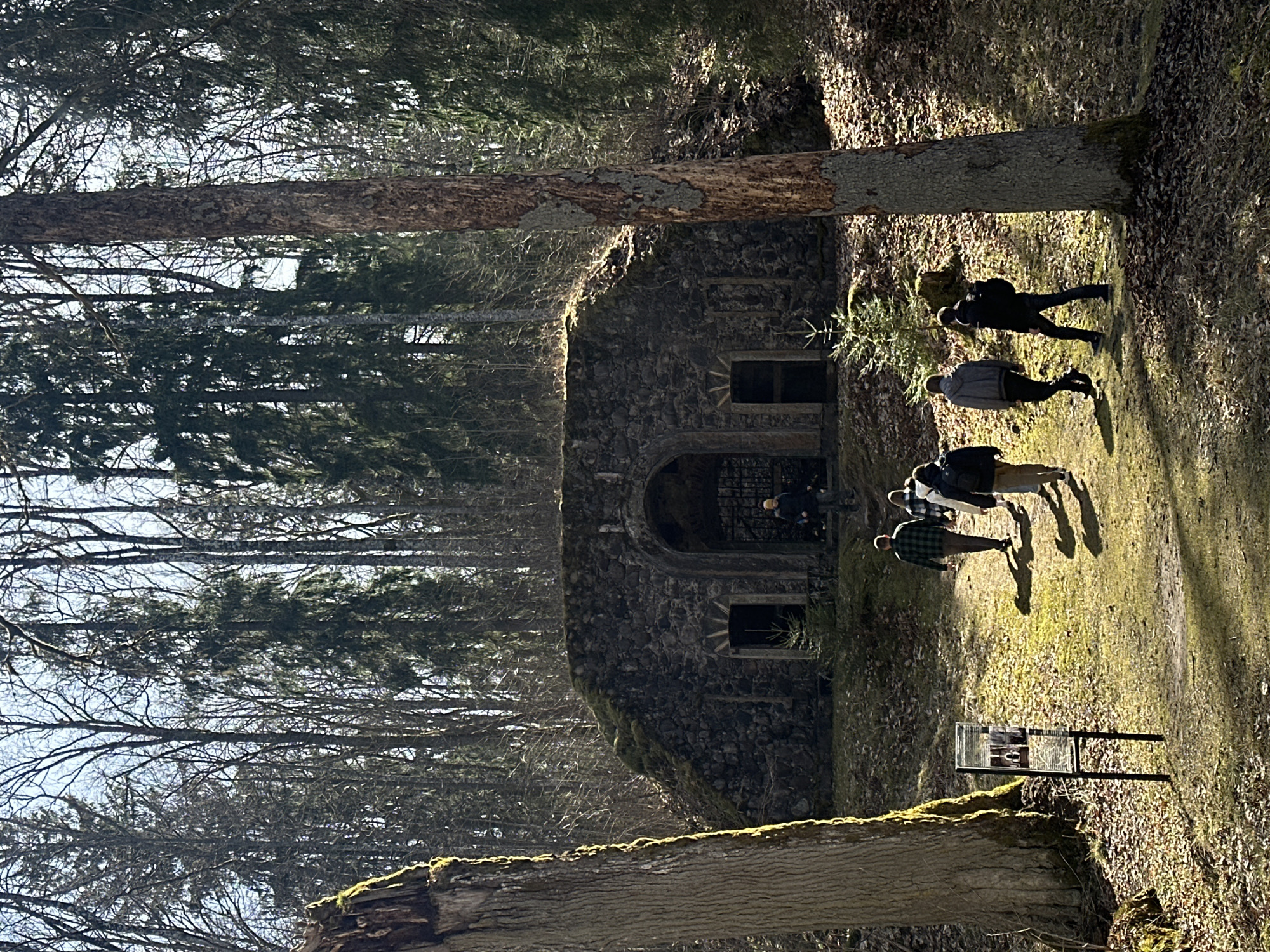 Spring blooms observed near stone building in Bīriņi forest