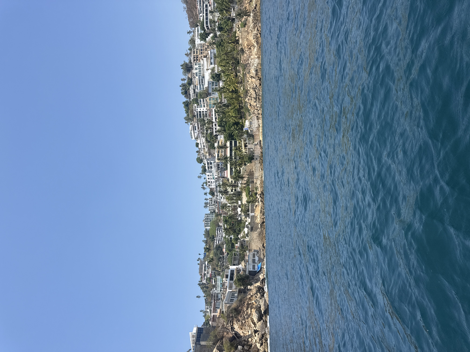 Hillside residential area captured in coastal Acapulco