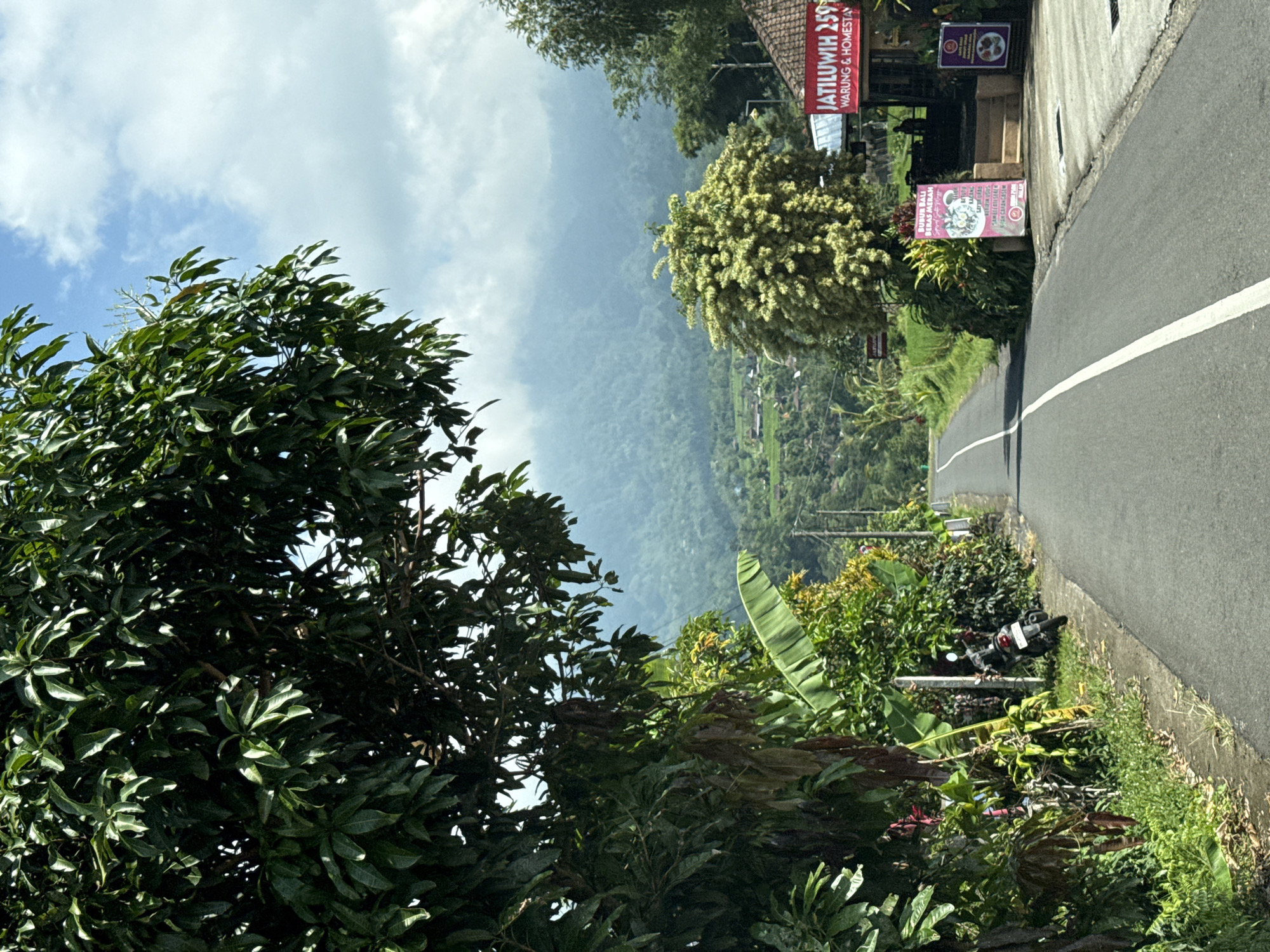 Scenic drive documented through mountainous Penebel, Indonesia countryside
