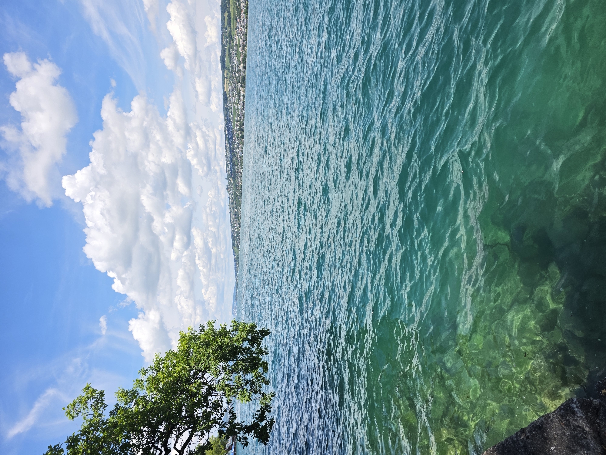 Lake Zurich's turquoise waters from Horgen's shoreline