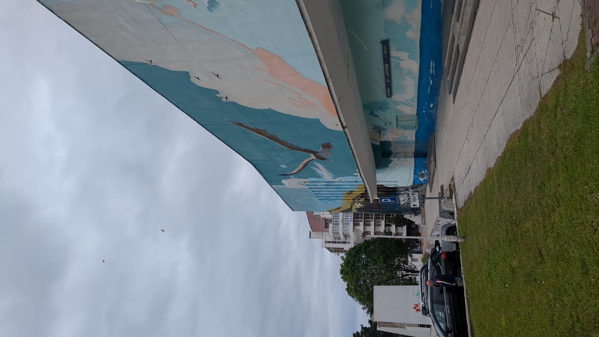 Morning scenes captured in Gelendzhik: street mural, market activity