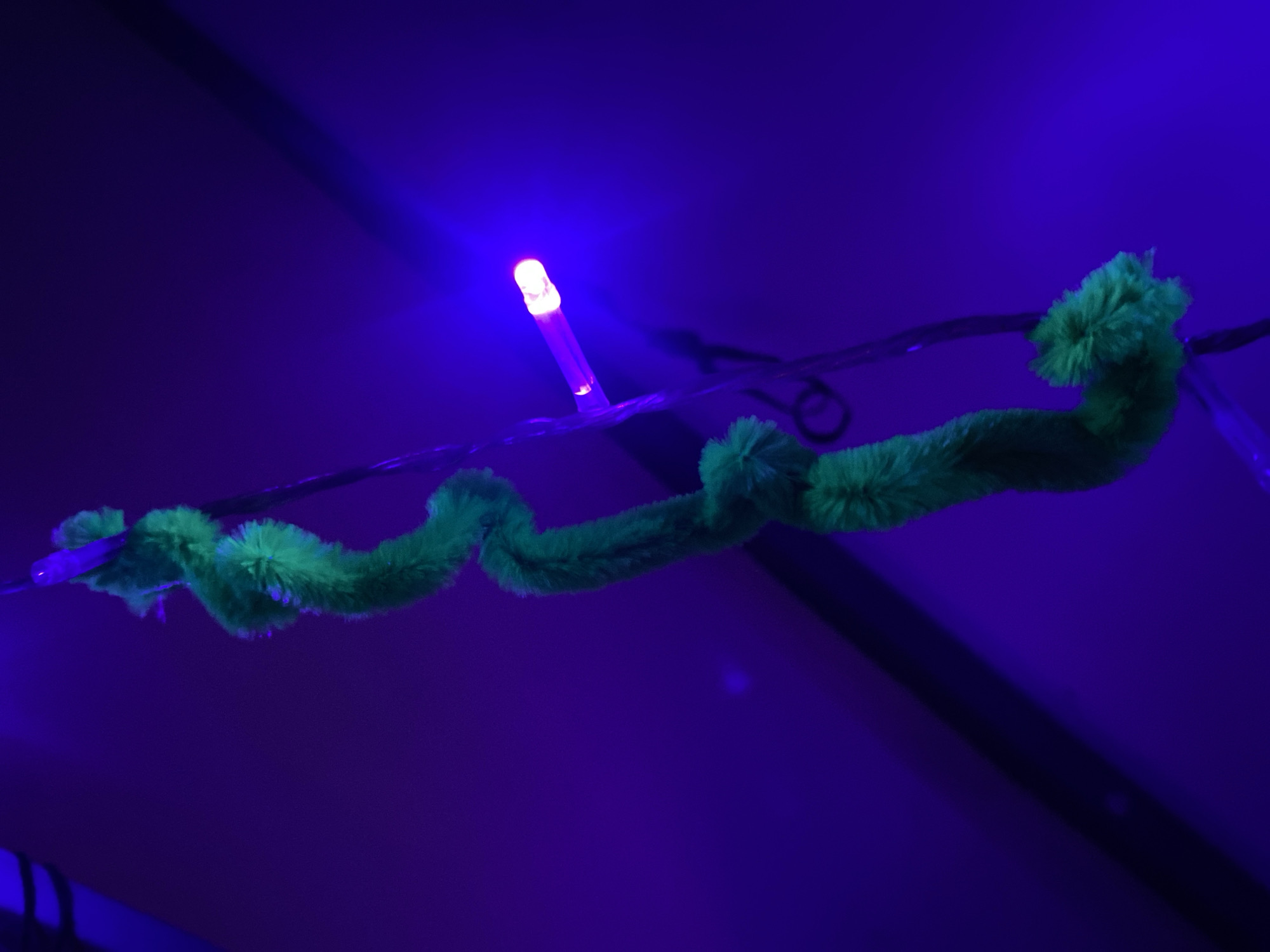 Green pipe cleaner and blue LEDs observed in Thailand