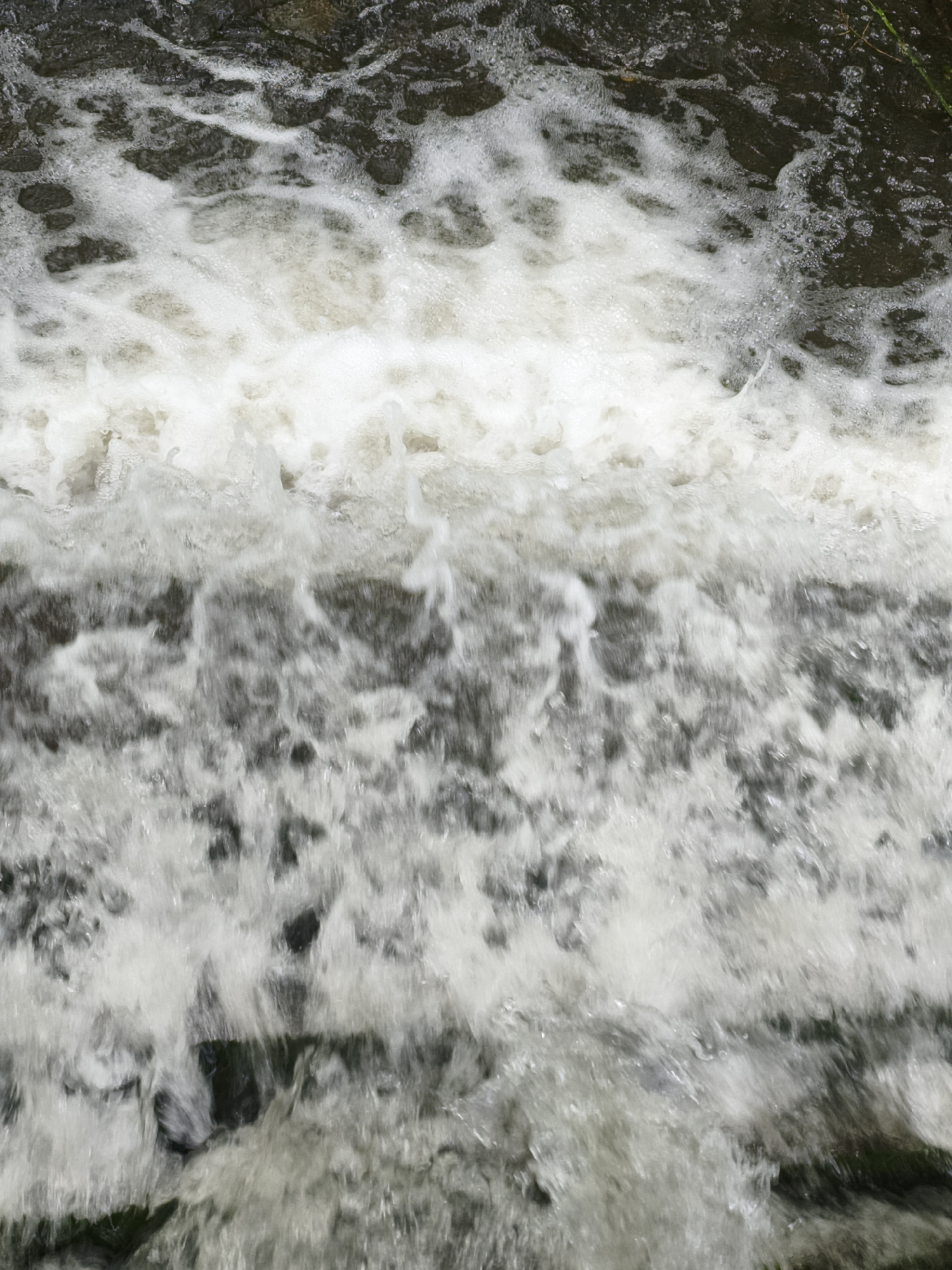 Park waterfall attracts wildlife, visitors during afternoon hours