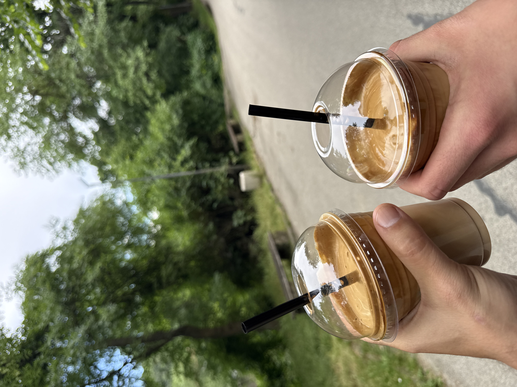 Iced coffees and a moss terrarium in Lovech