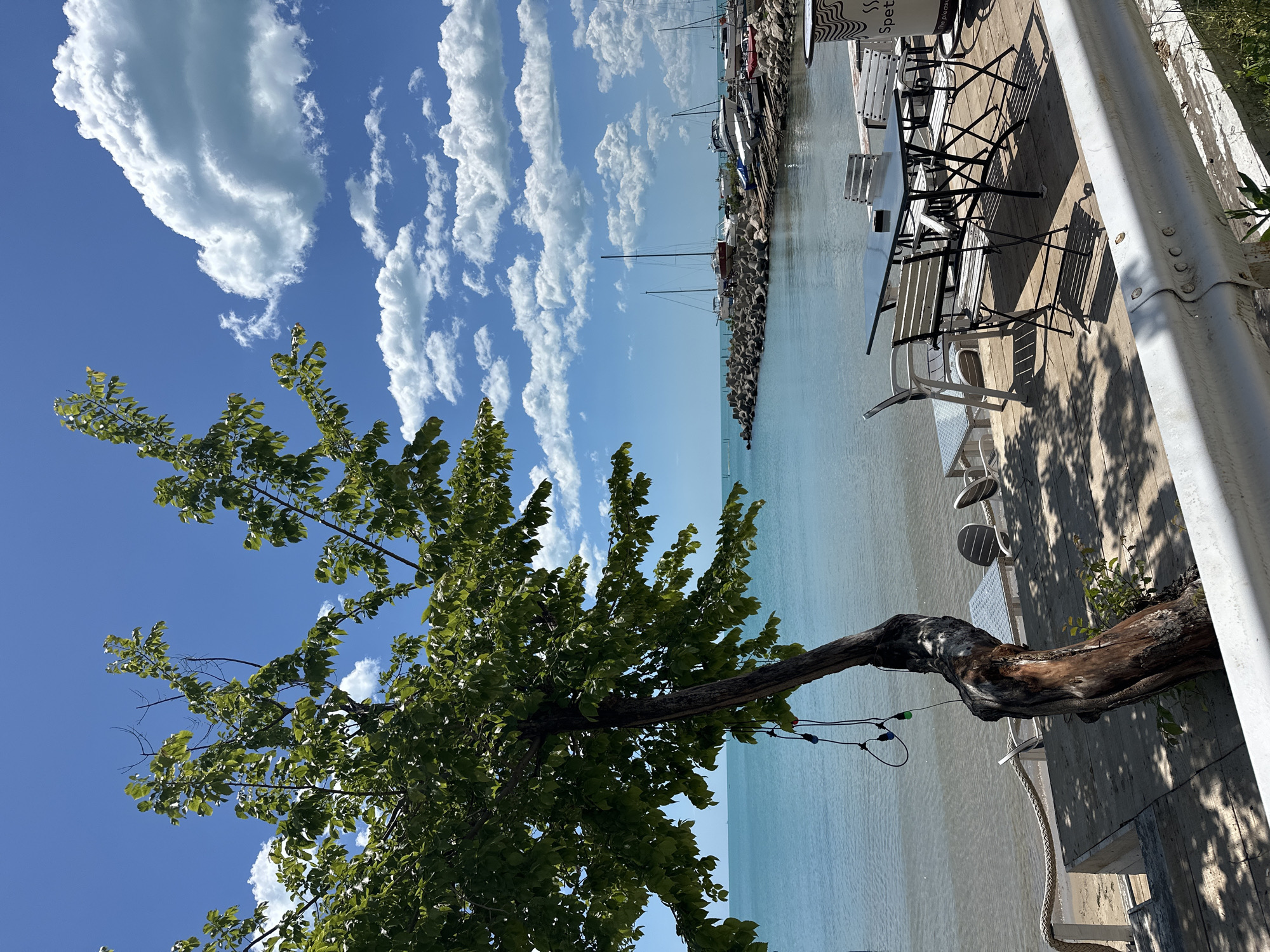 Peaceful morning scenes captured along Varna's Black Sea waterfront