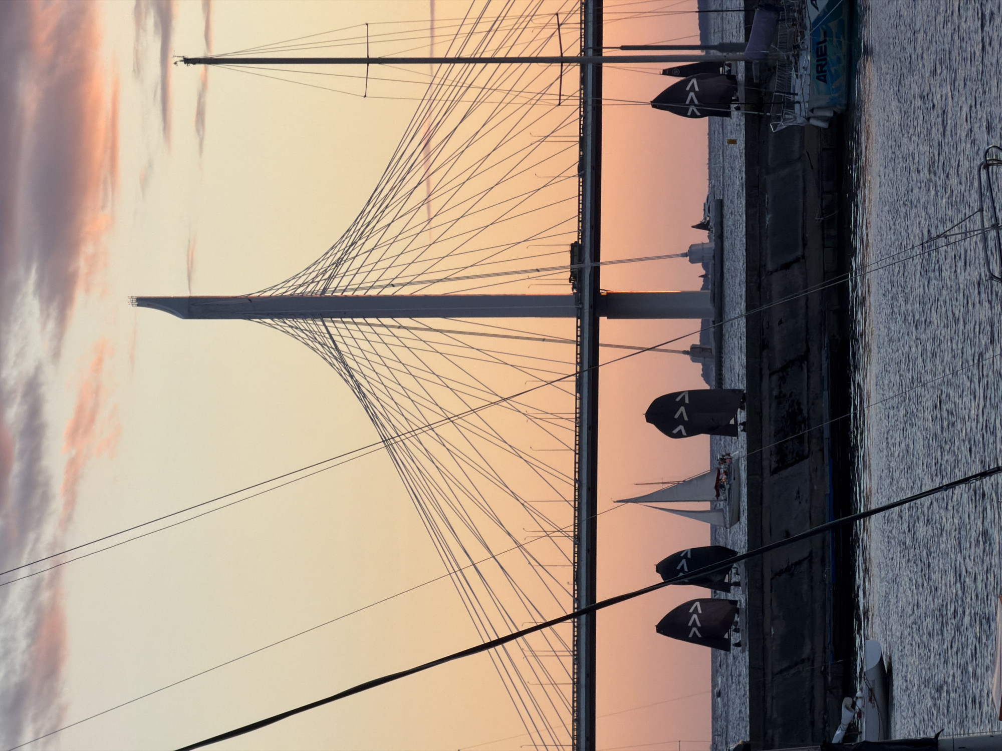 Sailing regatta on the Neva River at golden hour