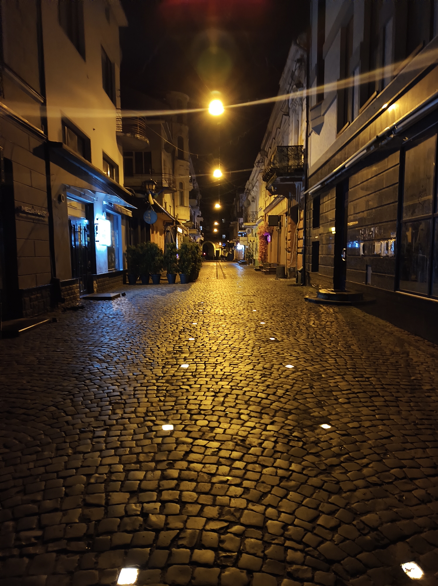 Ternopil's wet cobblestone streets and landmarks at night