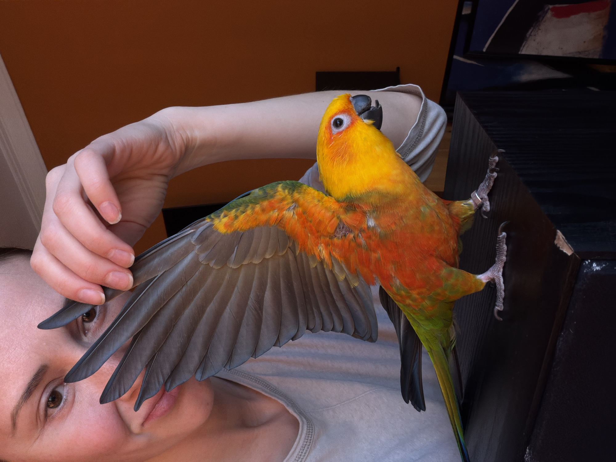 Person spends afternoon with parrot in Khimki, Russia