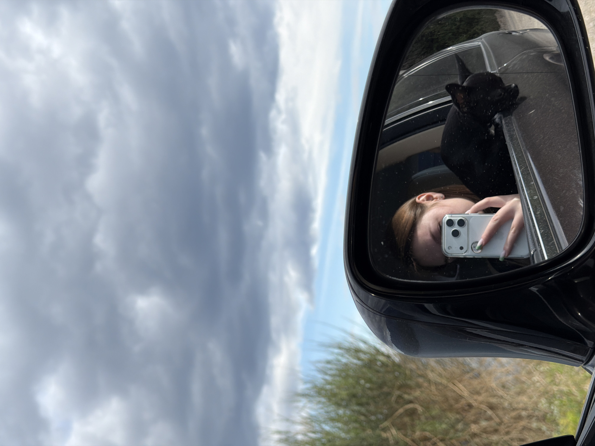 Person with dog photographed near Lexus on Montenegro coast
