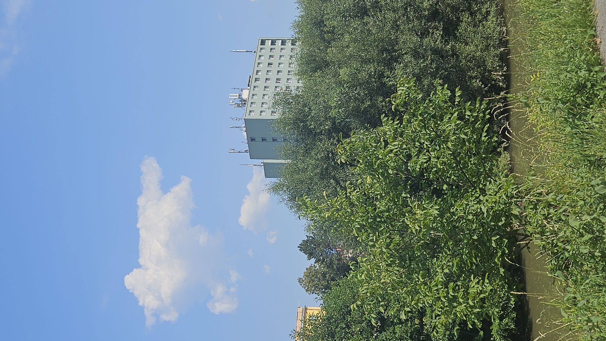 Prešov rooftop views, grazing geese, and a city mid-summer