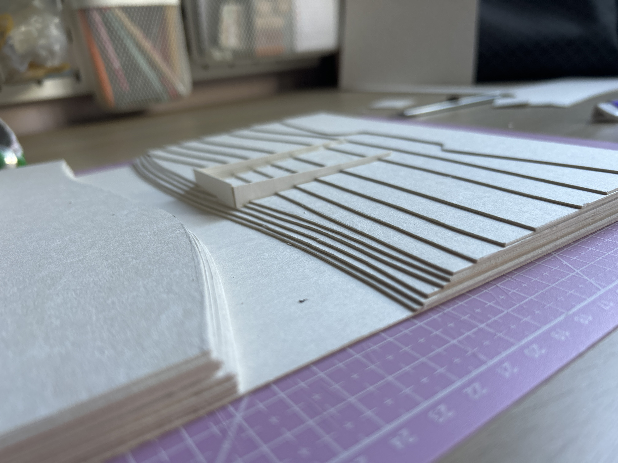Cooking tortellini and crafting architectural models in Sofia apartment