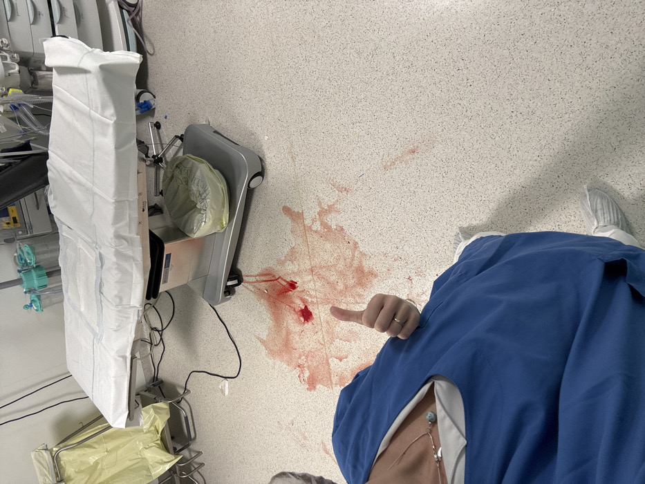 Hospital staff document routine medical operations in Tourcoing