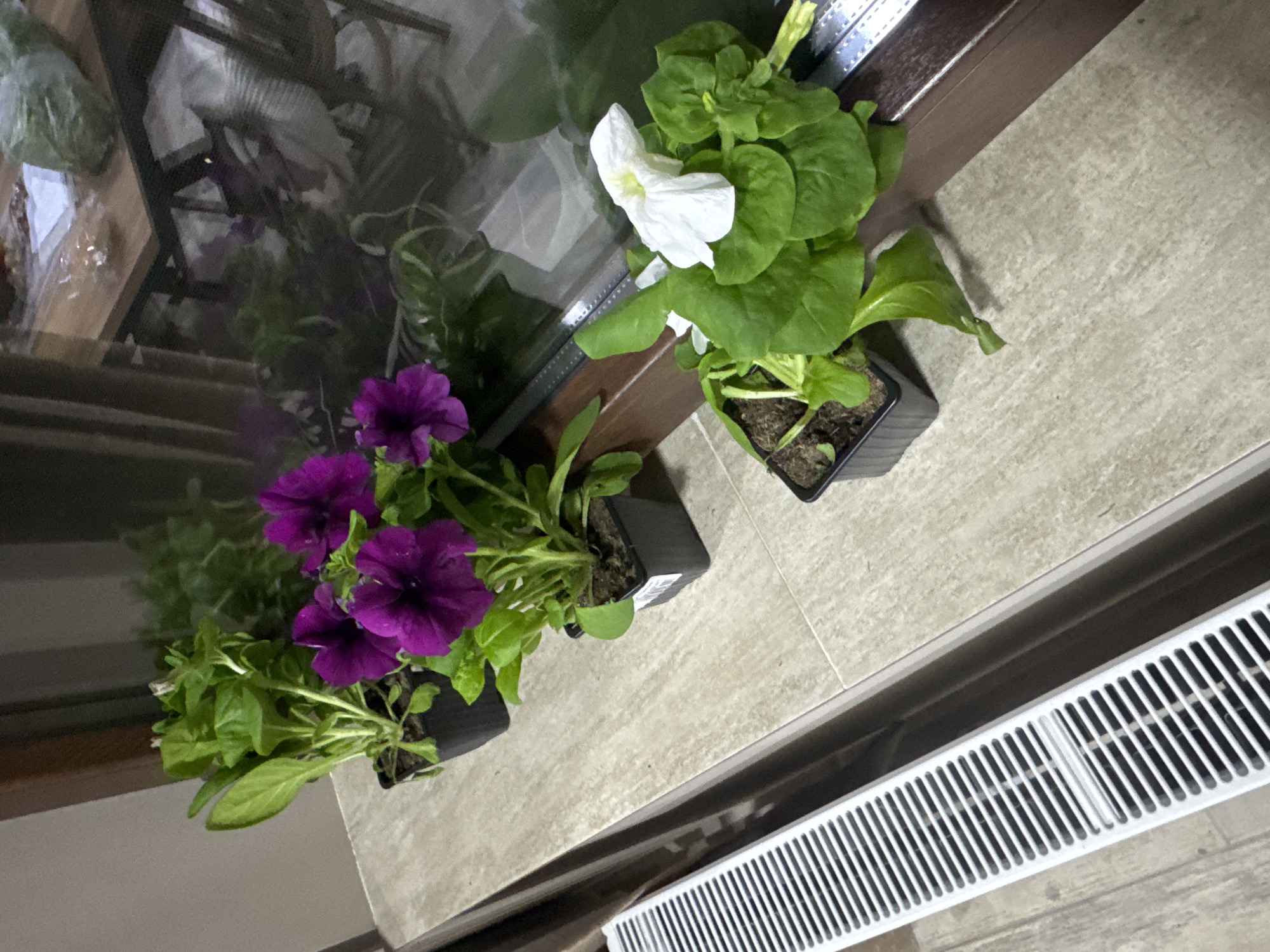Home interior scenes documented in Lehchevo, Bulgaria
