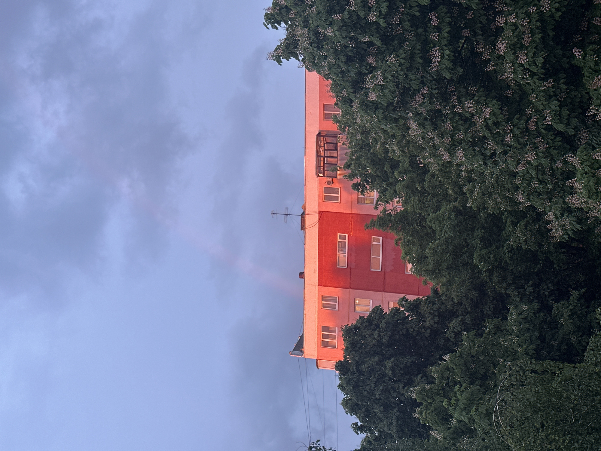 Evening scenes captured in Stavropol: sunlit building, resting cat