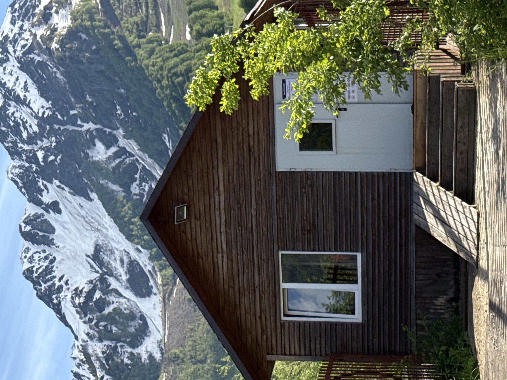 Mountain cabin and alpacas spotted in Russian countryside