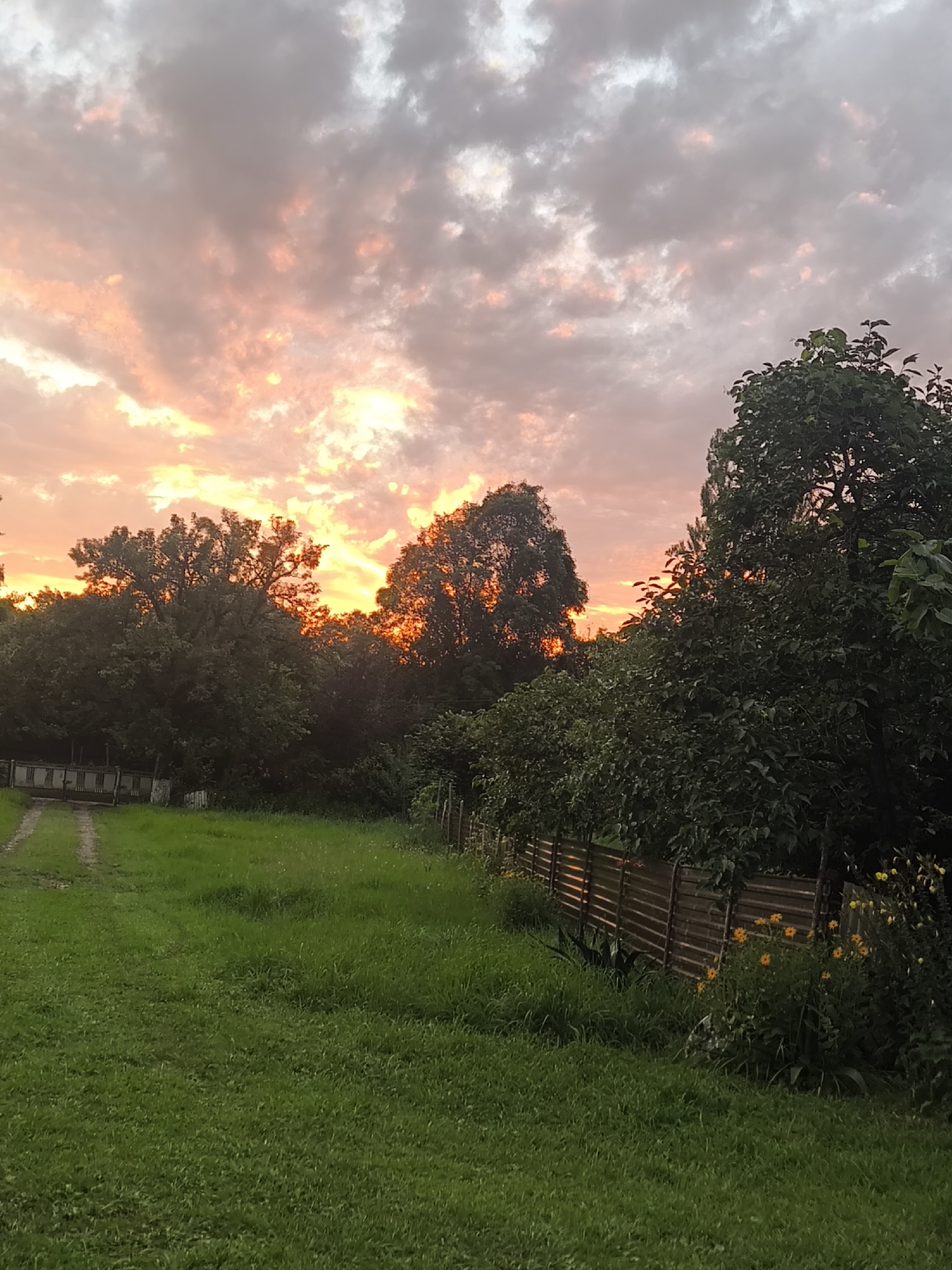 Vivid summer sunset over rural Pakwash, Abkhazia