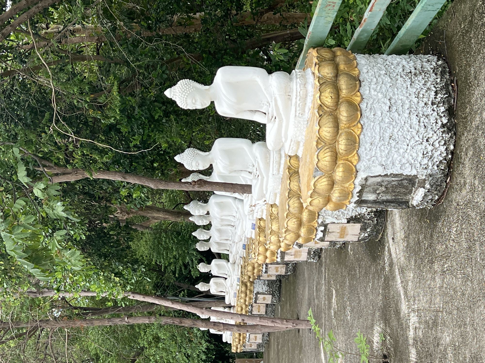 Buddhist temple complex documented in Thailand morning hours