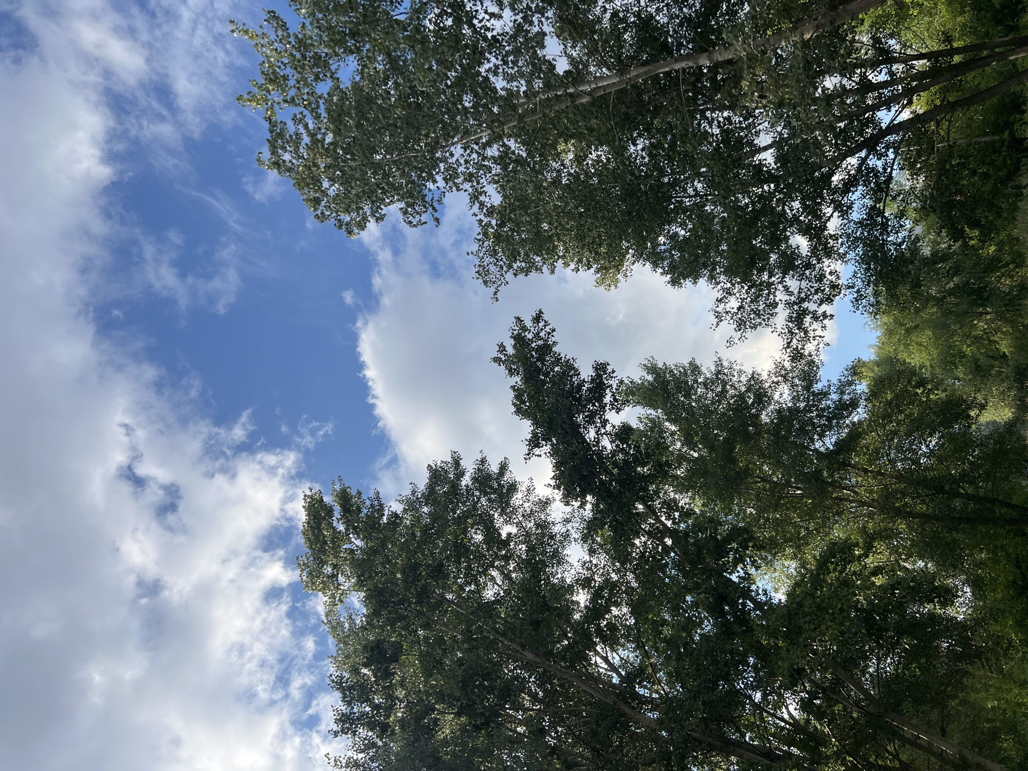 Ordinary summer afternoon around a Ulyanovsk neighborhood