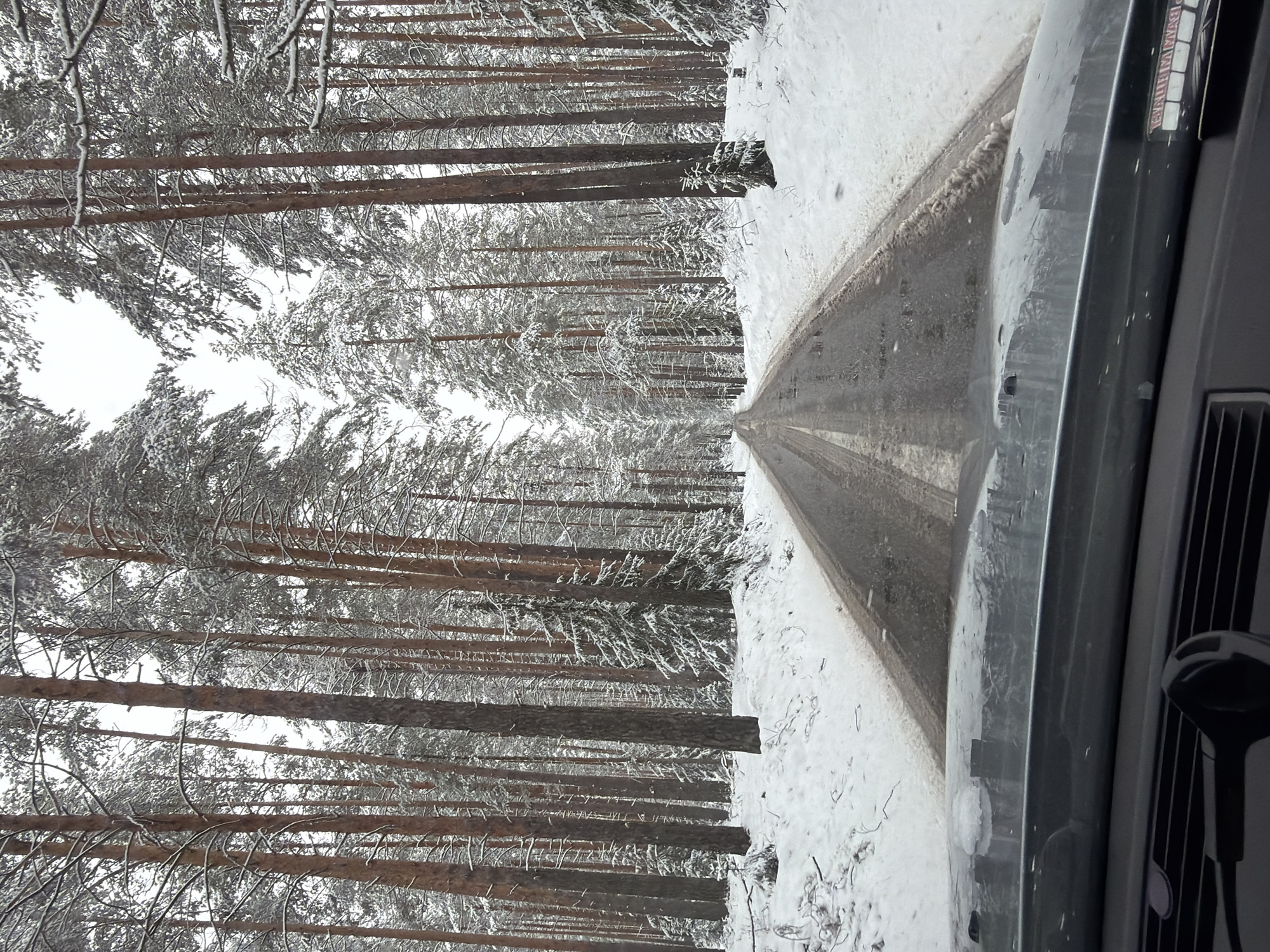 Driver navigates snowy forest road in Chaikovsky, Russia