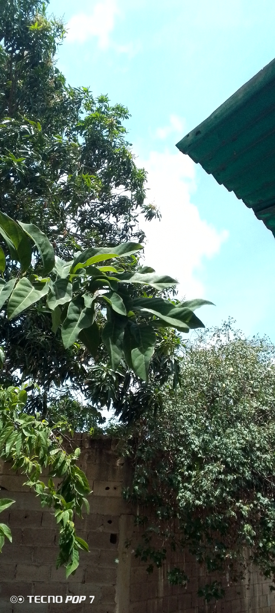 Backyard sky views documented in Altagracia, Venezuela