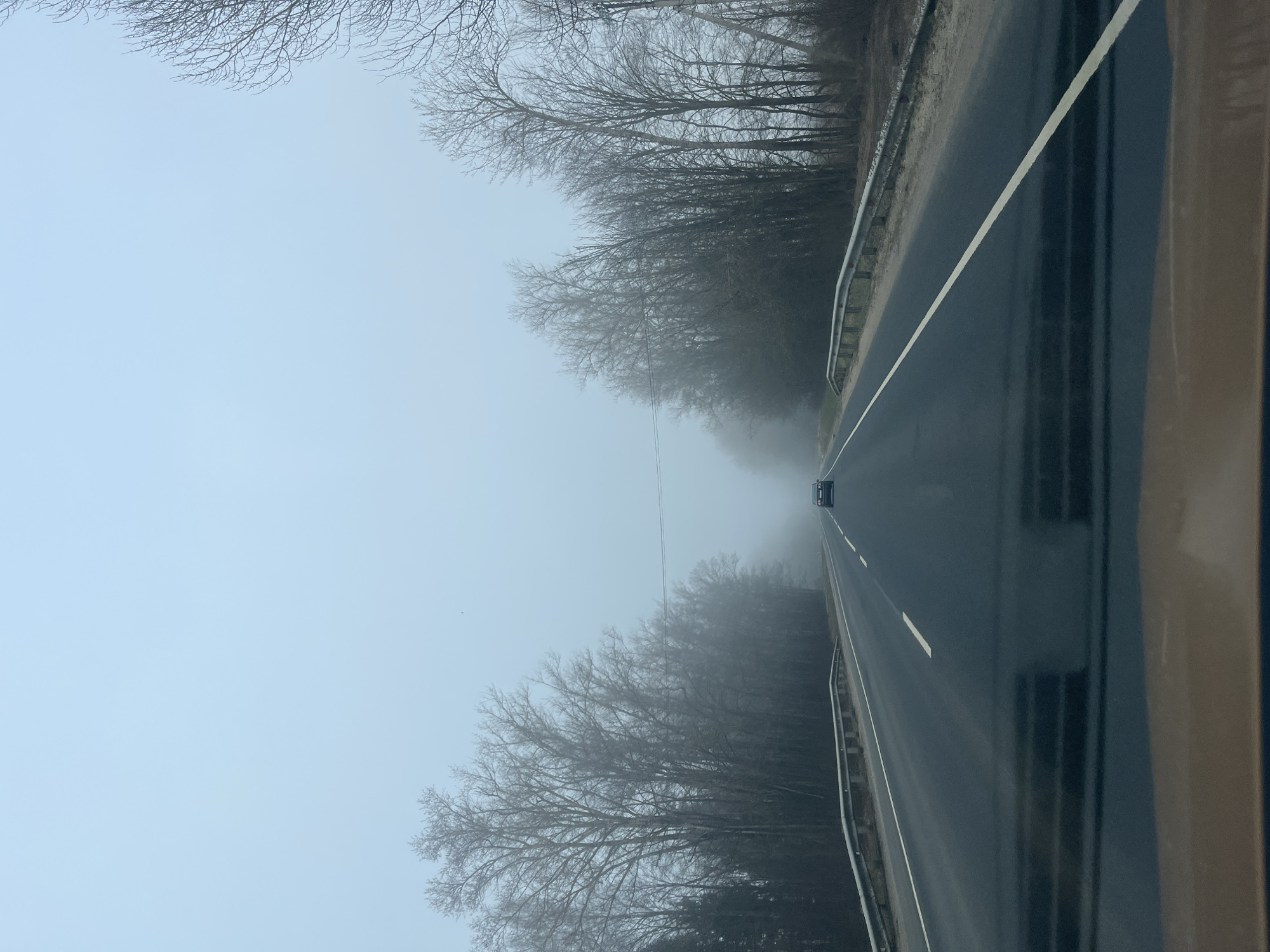 Dense fog blankets rural road in Ширяево, Russia