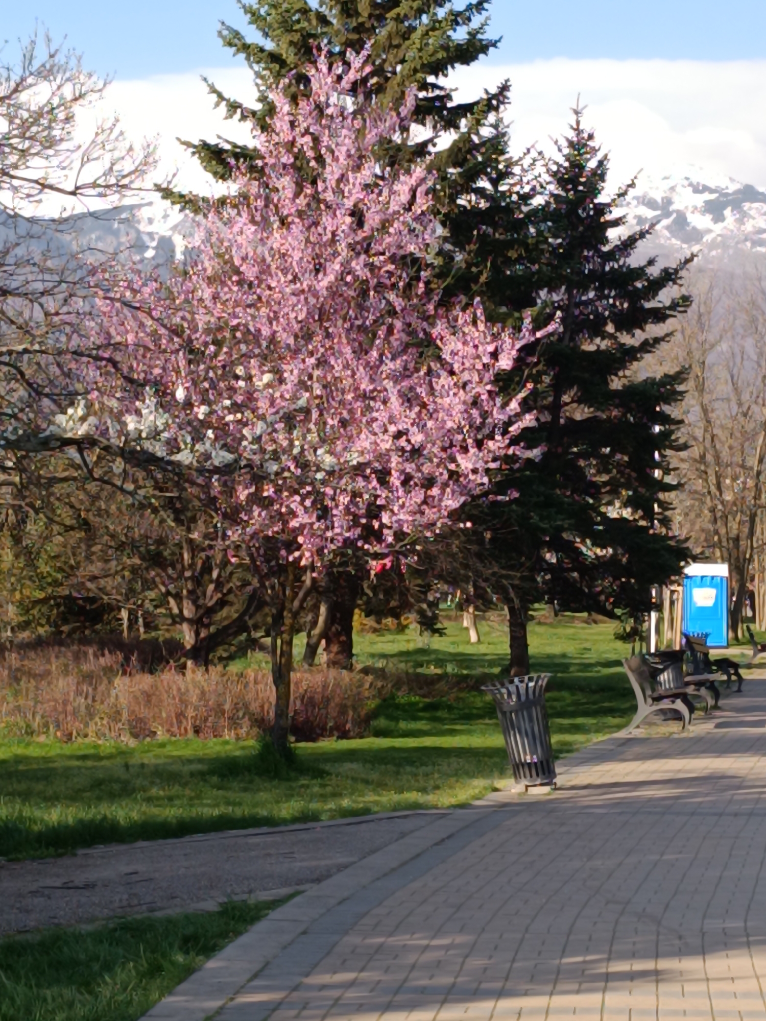 Early morning scenes captured in Sofia parks and streets