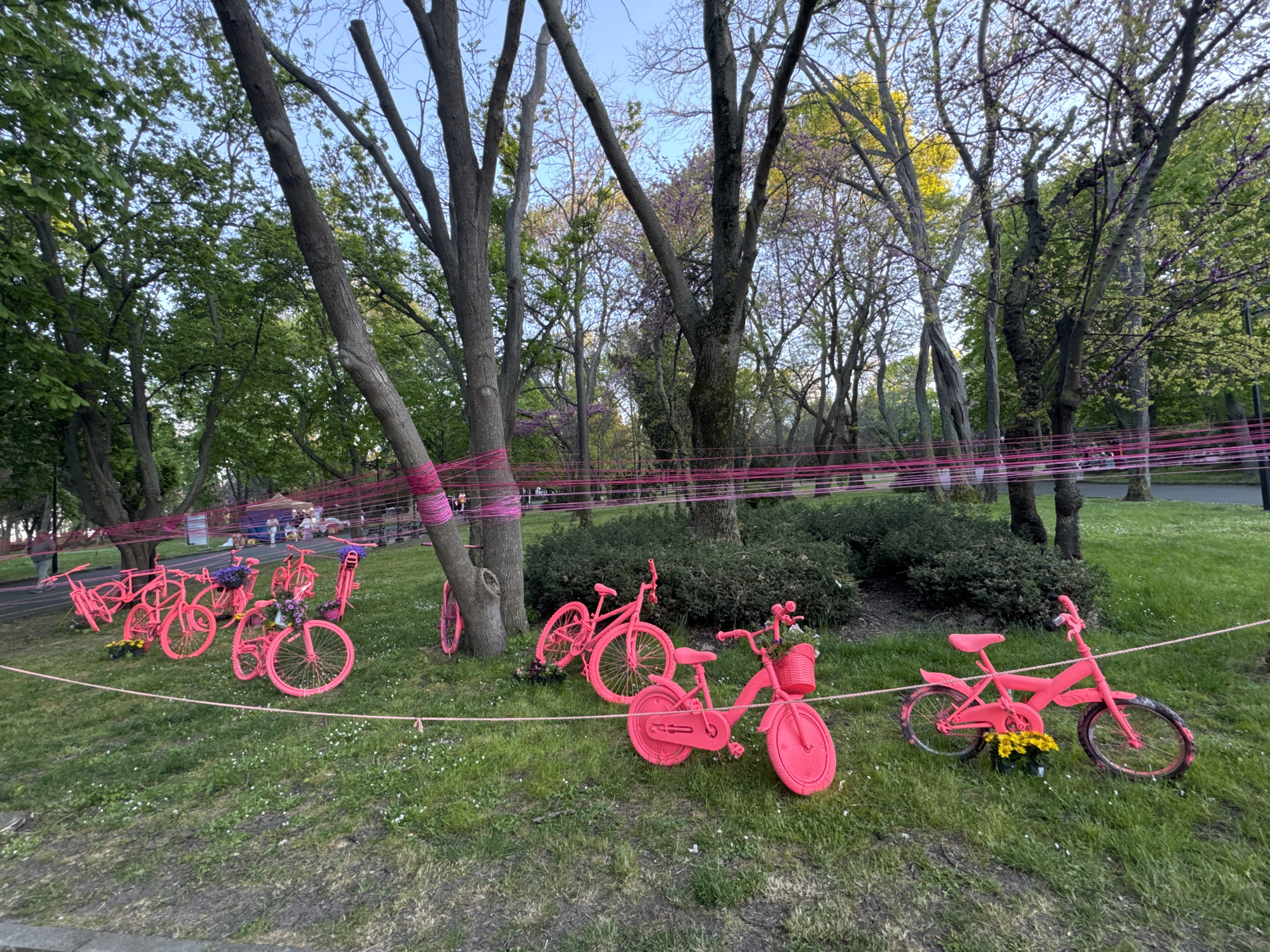 Floral art installations documented in Burgas park display