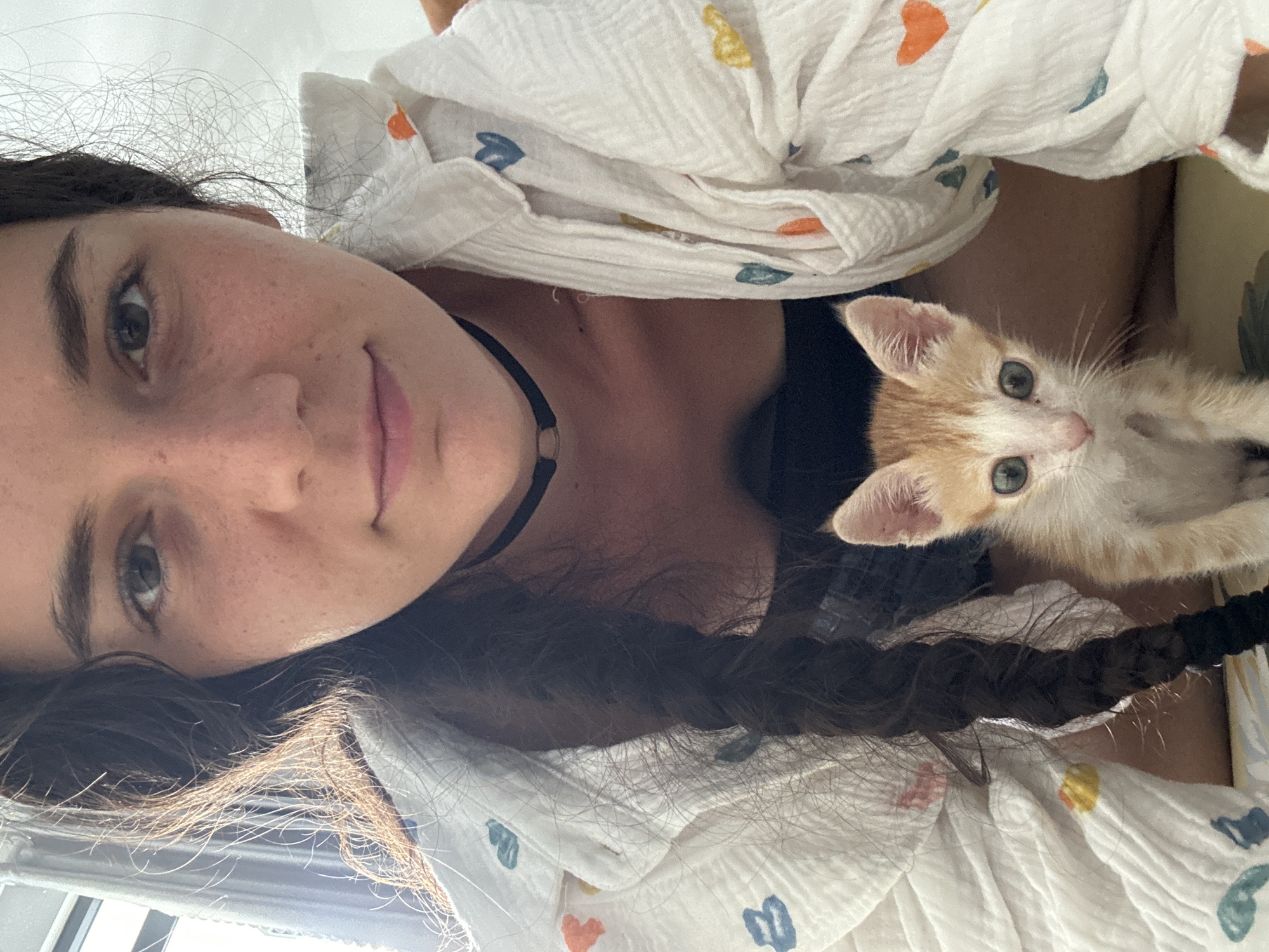 Person cradles orange kitten in tender moments, Mũi Né