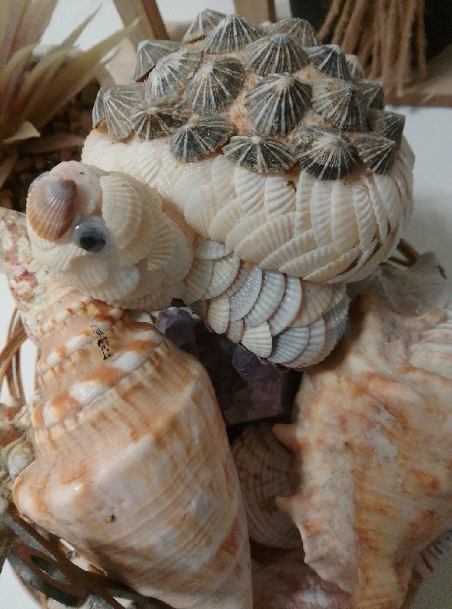 Snake figurines and shell decor fill a Wedel shop display
